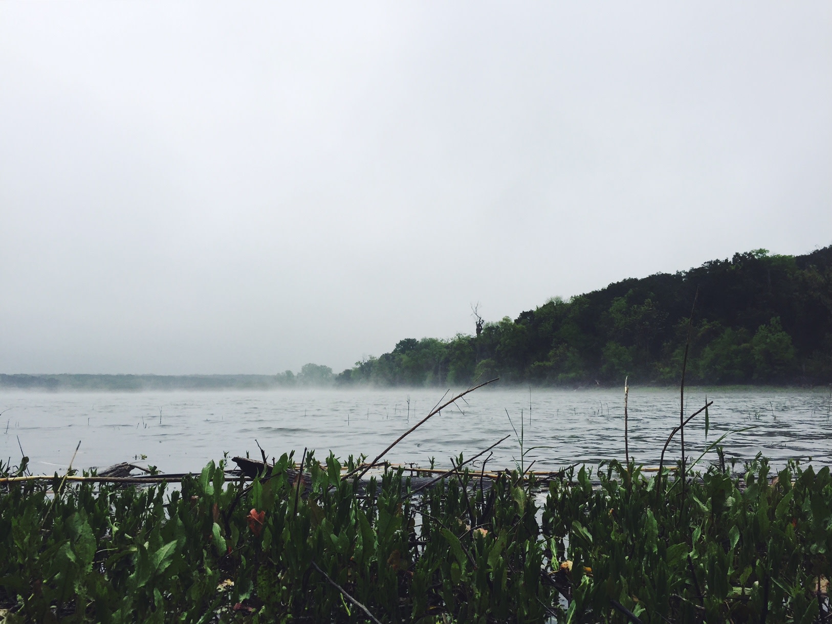 Foggy morning on Meridian Lake