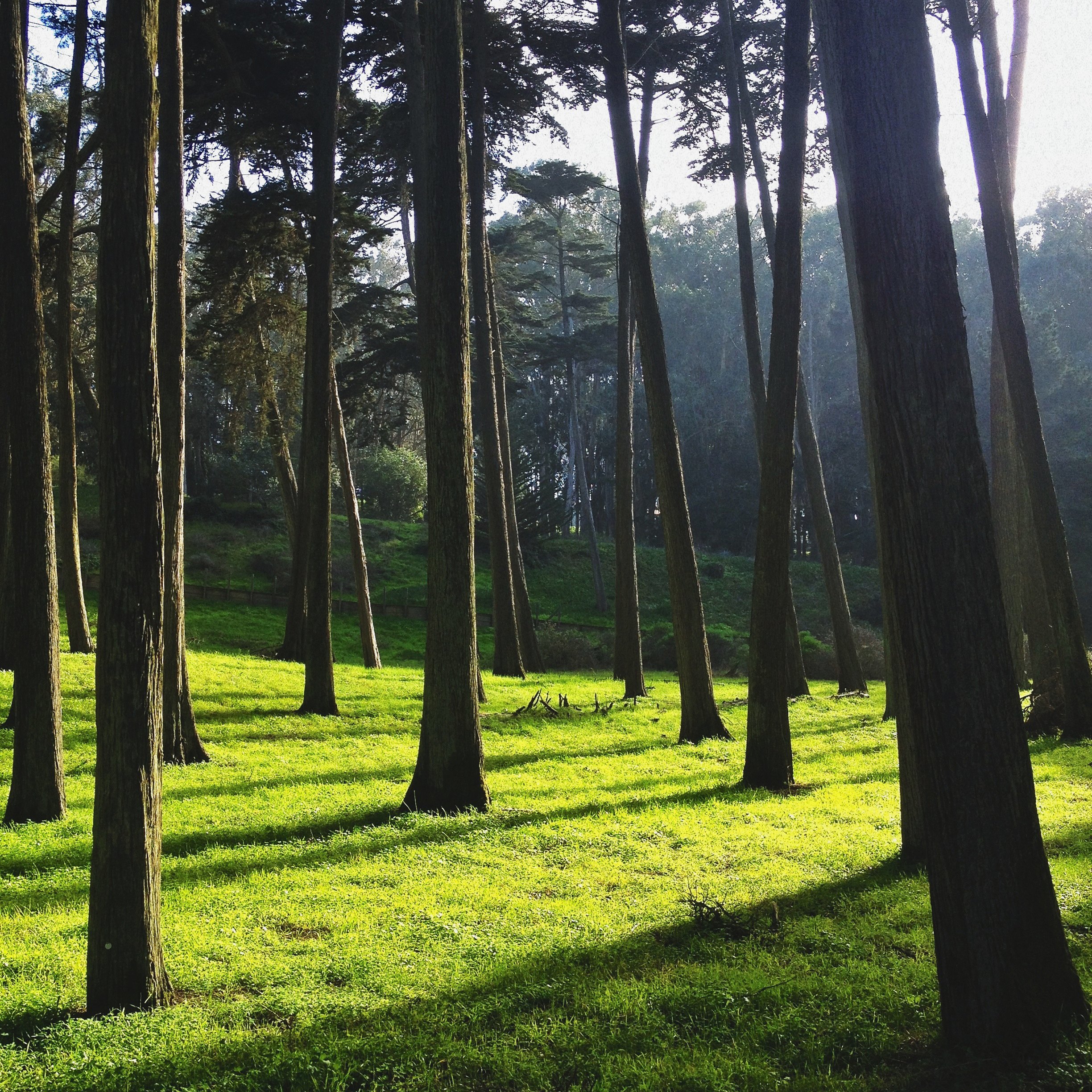 Golden Gate National Recreation Area