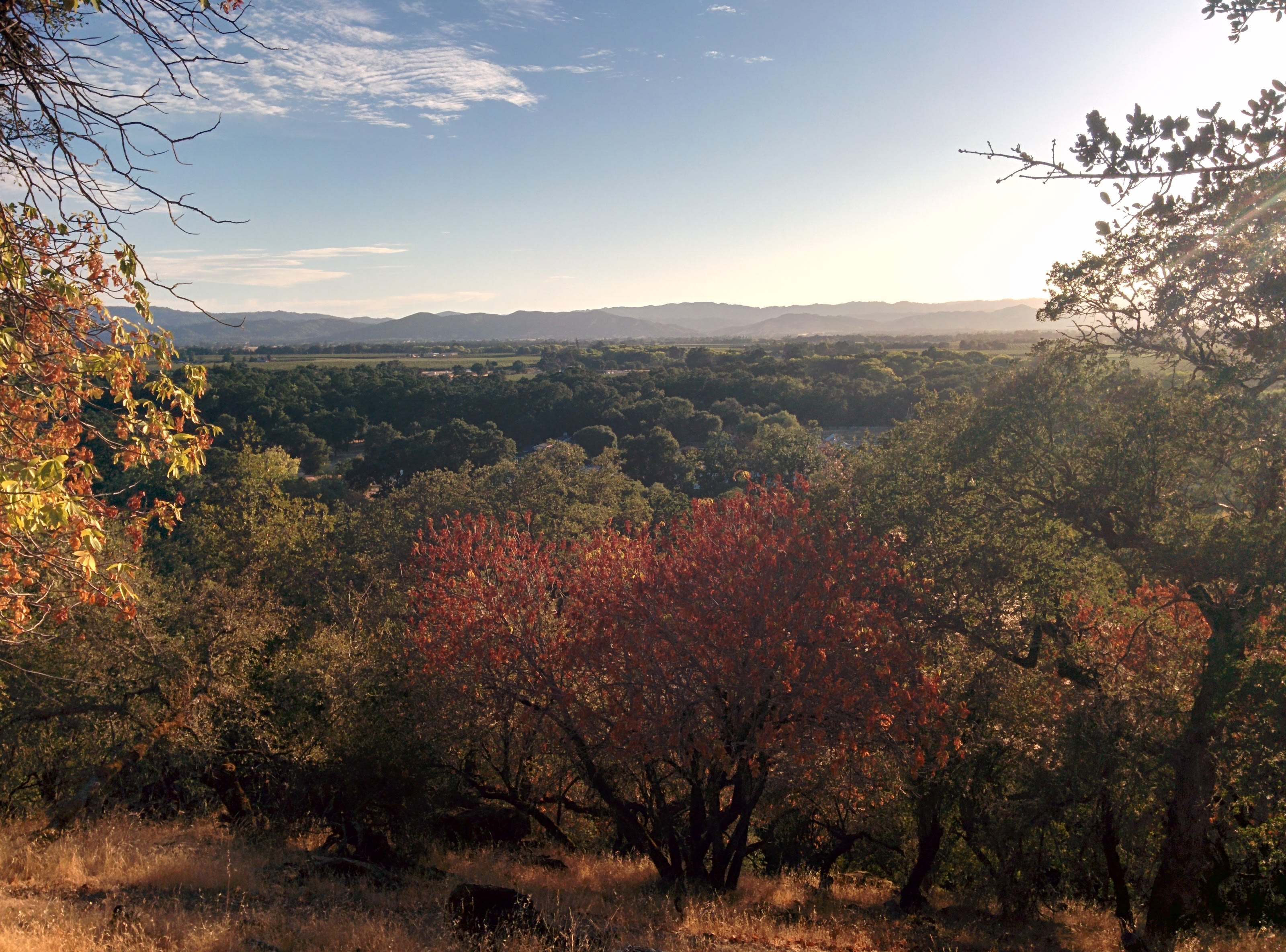 Clear Lake State Park