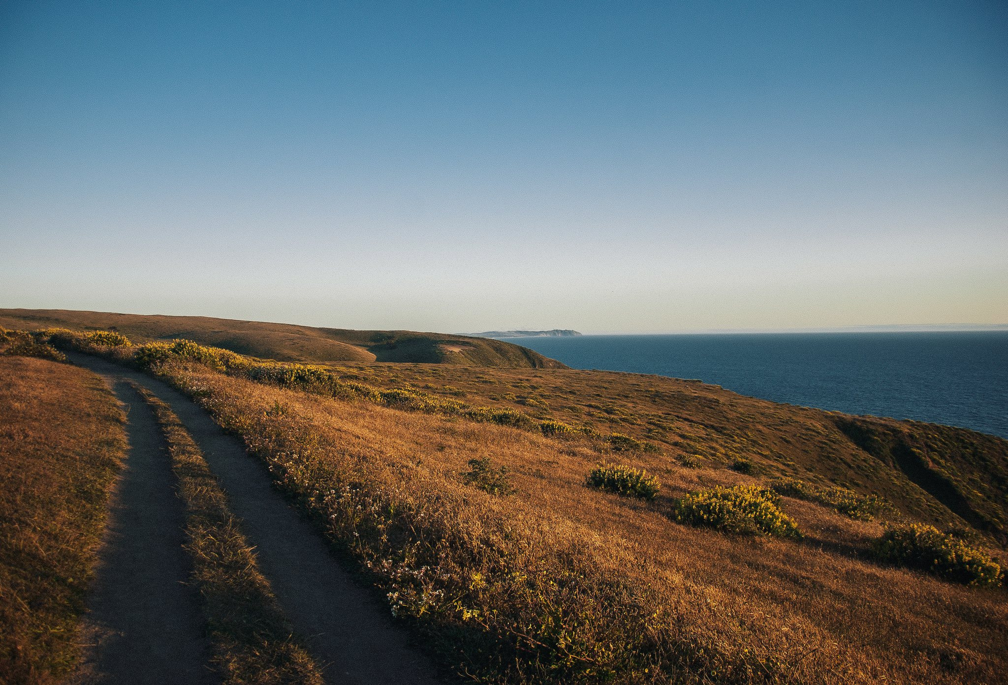 Hiking around Tomales Bay.