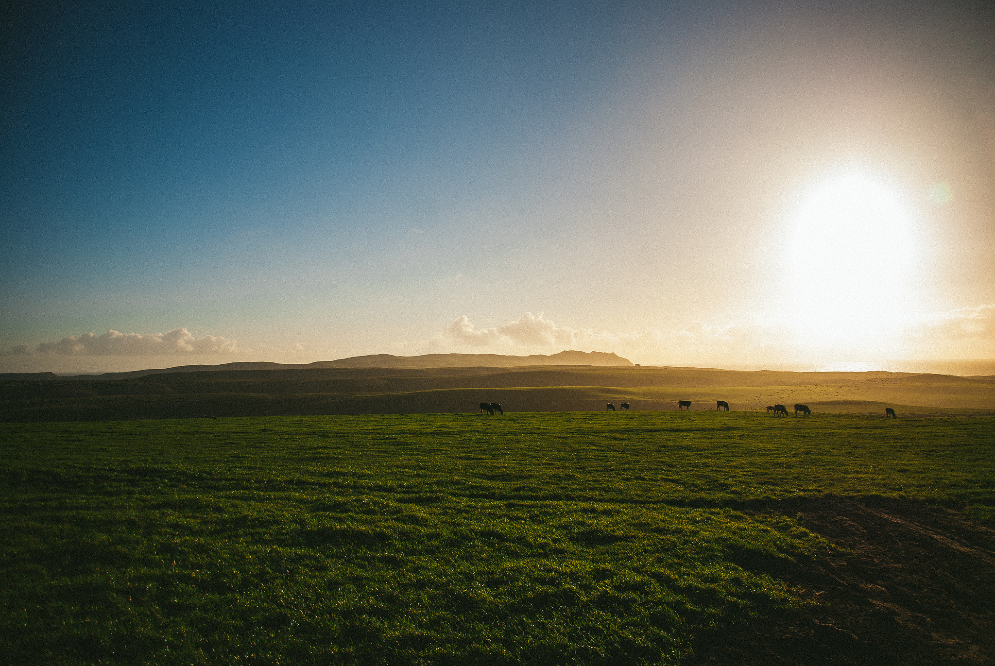 Point Reyes National Seashore