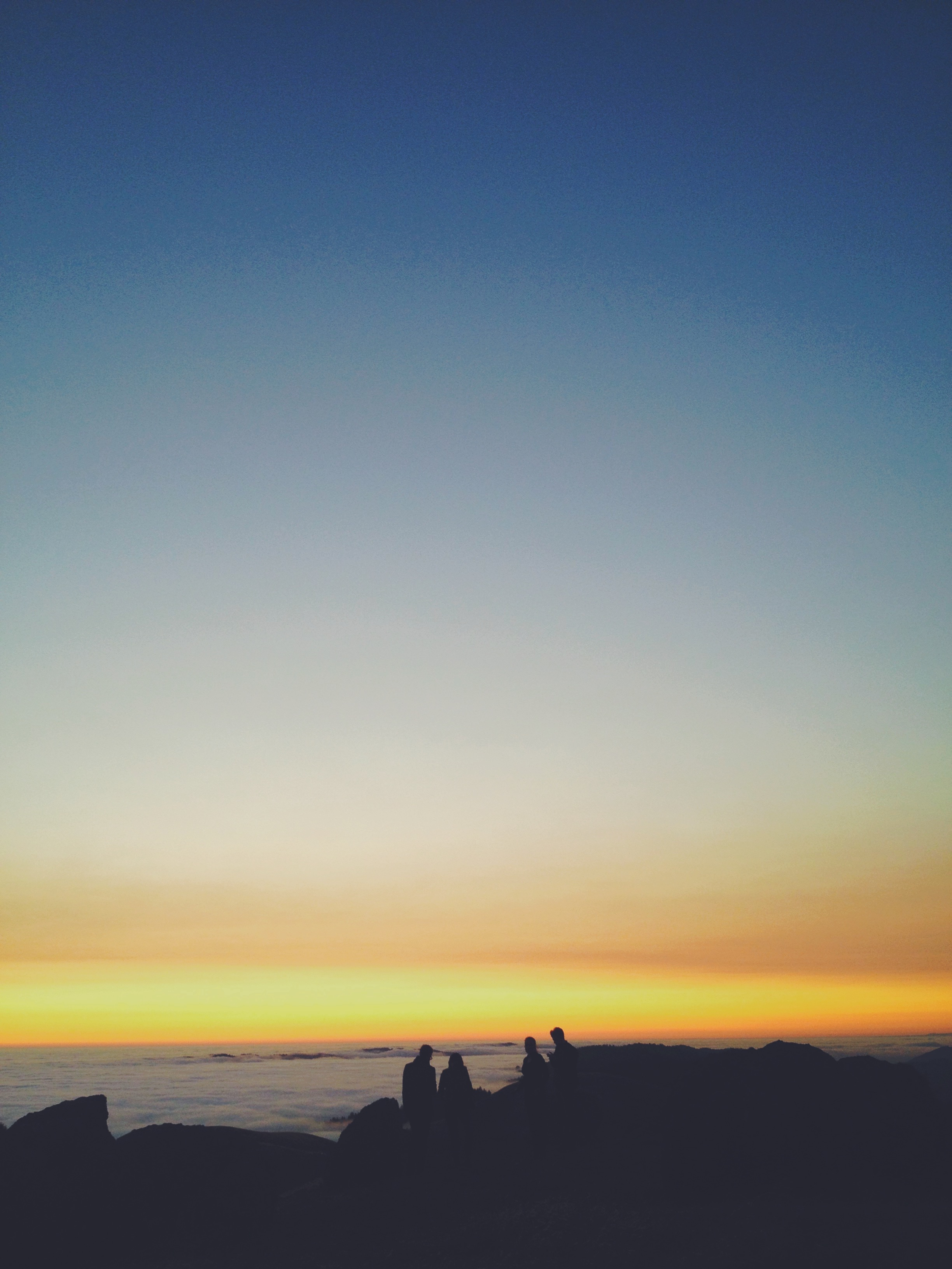 Mount Tamalpais State Park