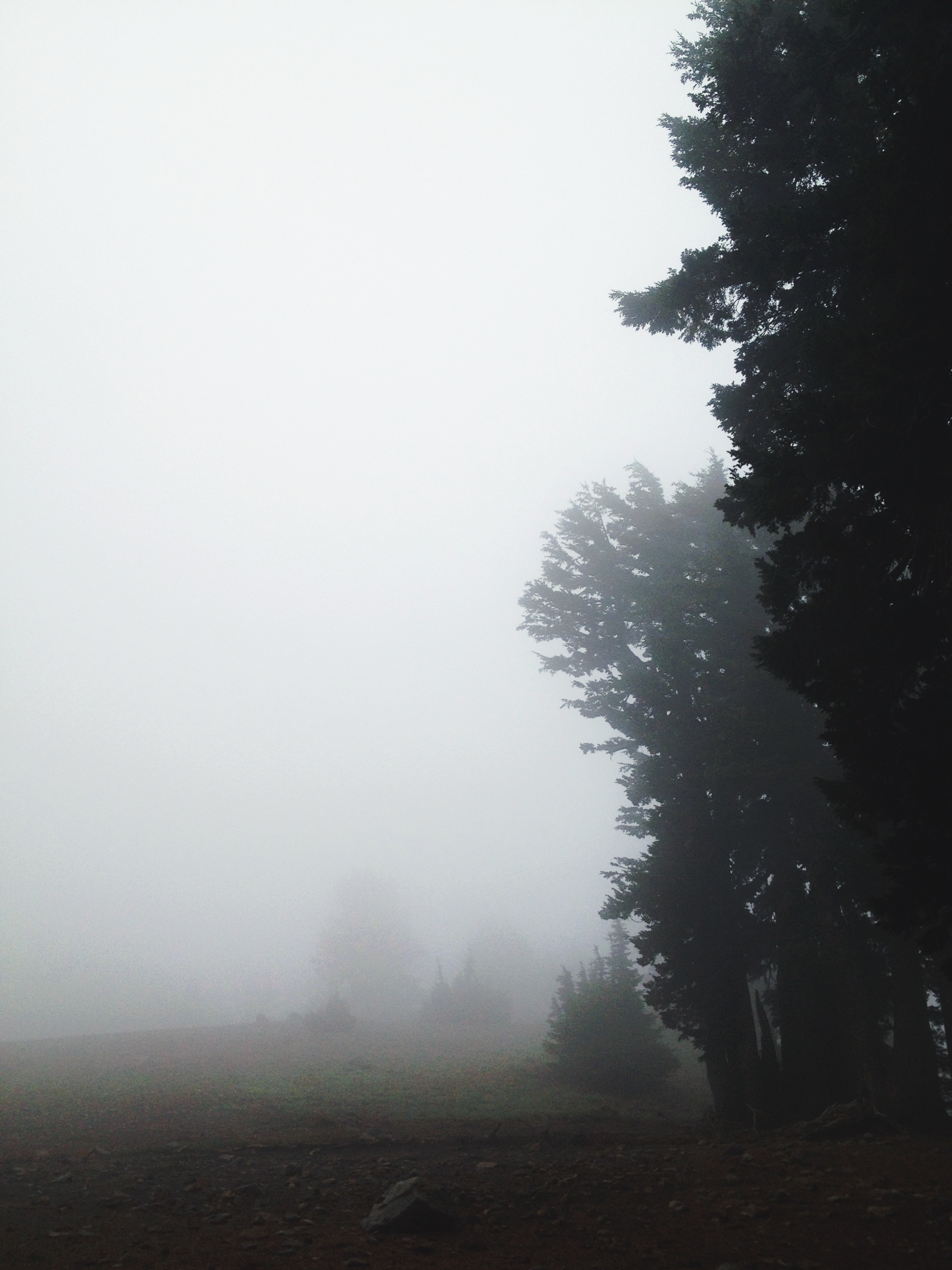 Lassen National Forest