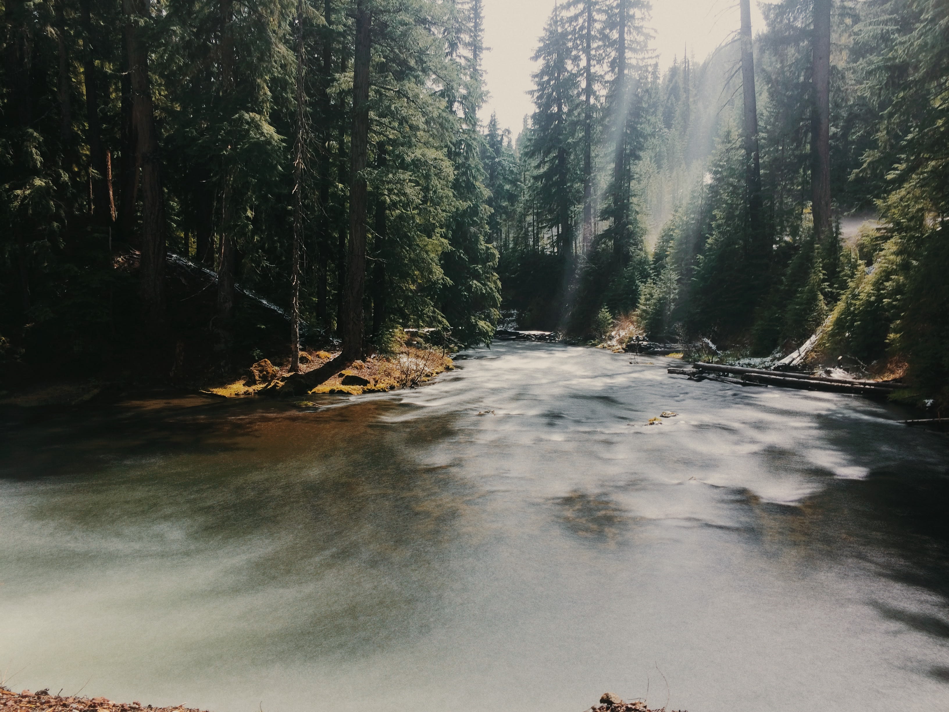 Mt. Hood National Forest