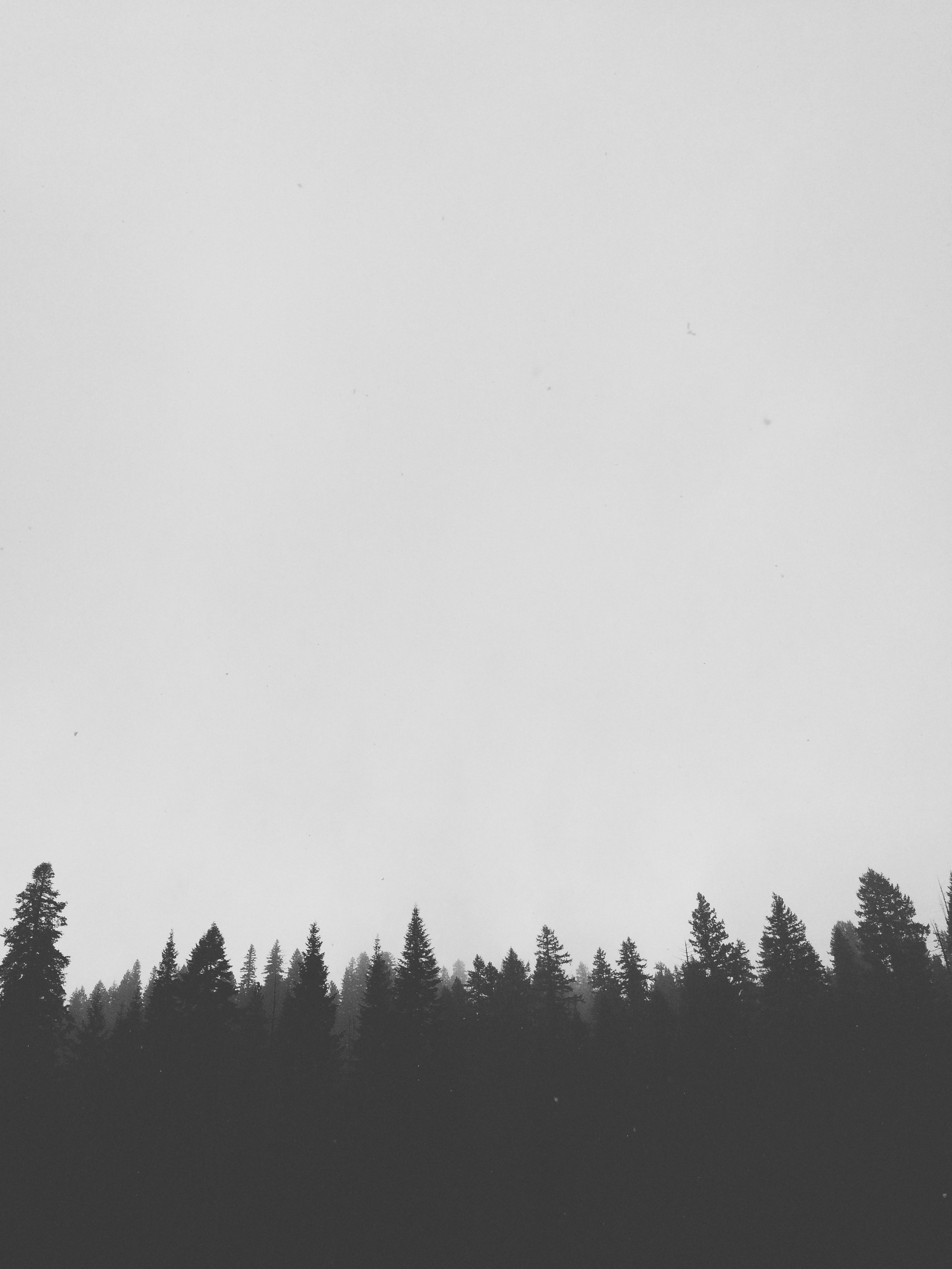 Mt. Hood National Forest