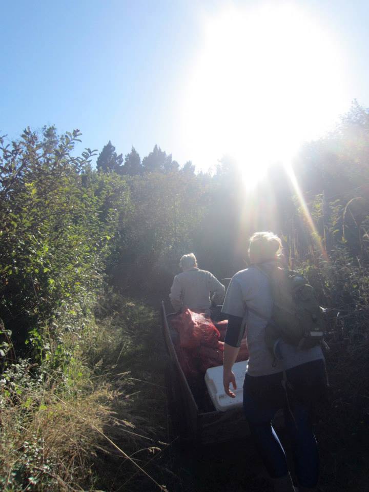 Entering one of the walk up sites (~5 minute walk from parking lot)-- very secluded!