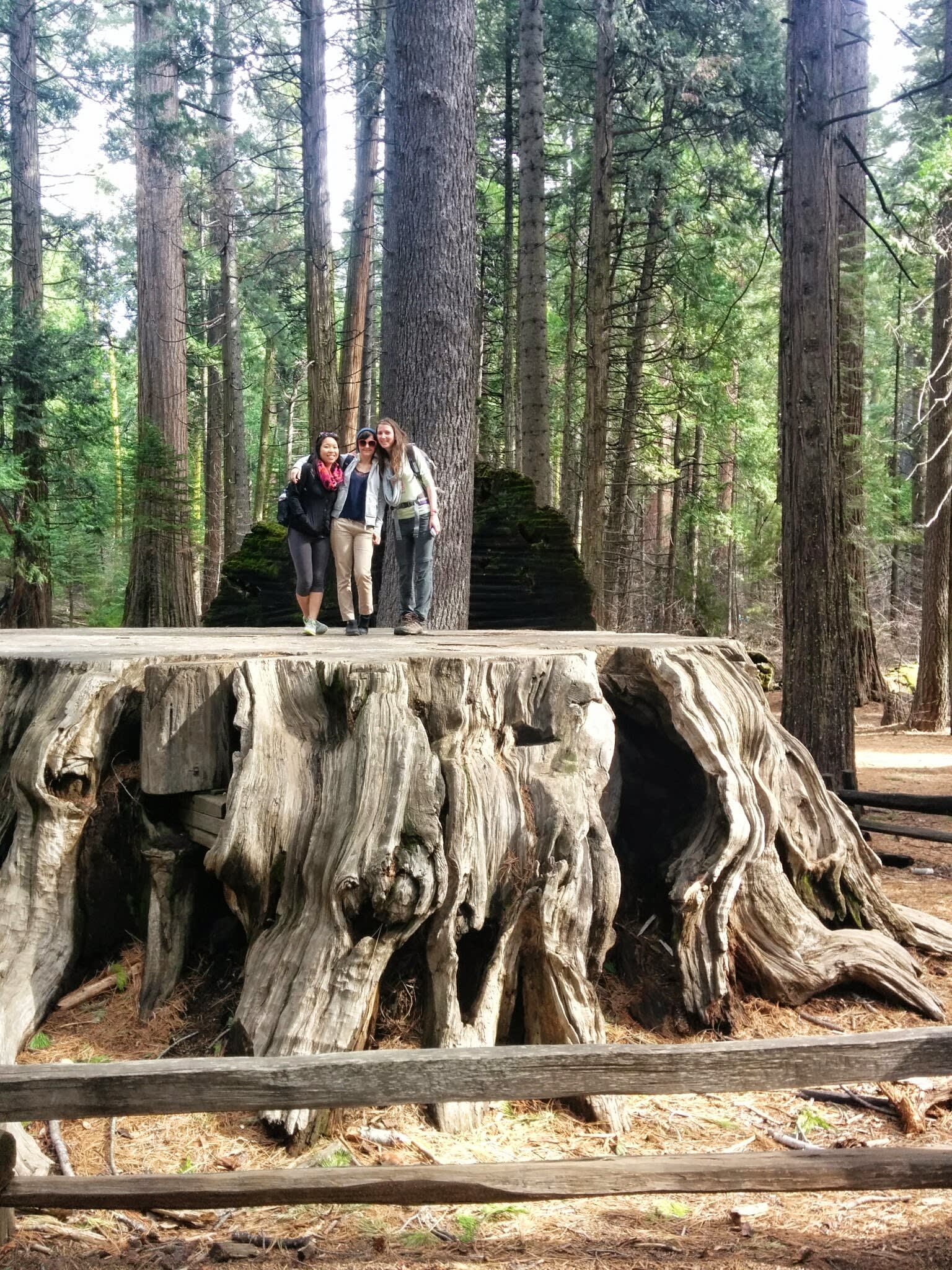 Hence the name of the park...