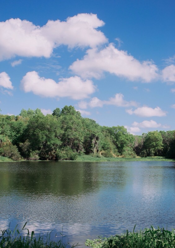 Edward Medard Conservation Park