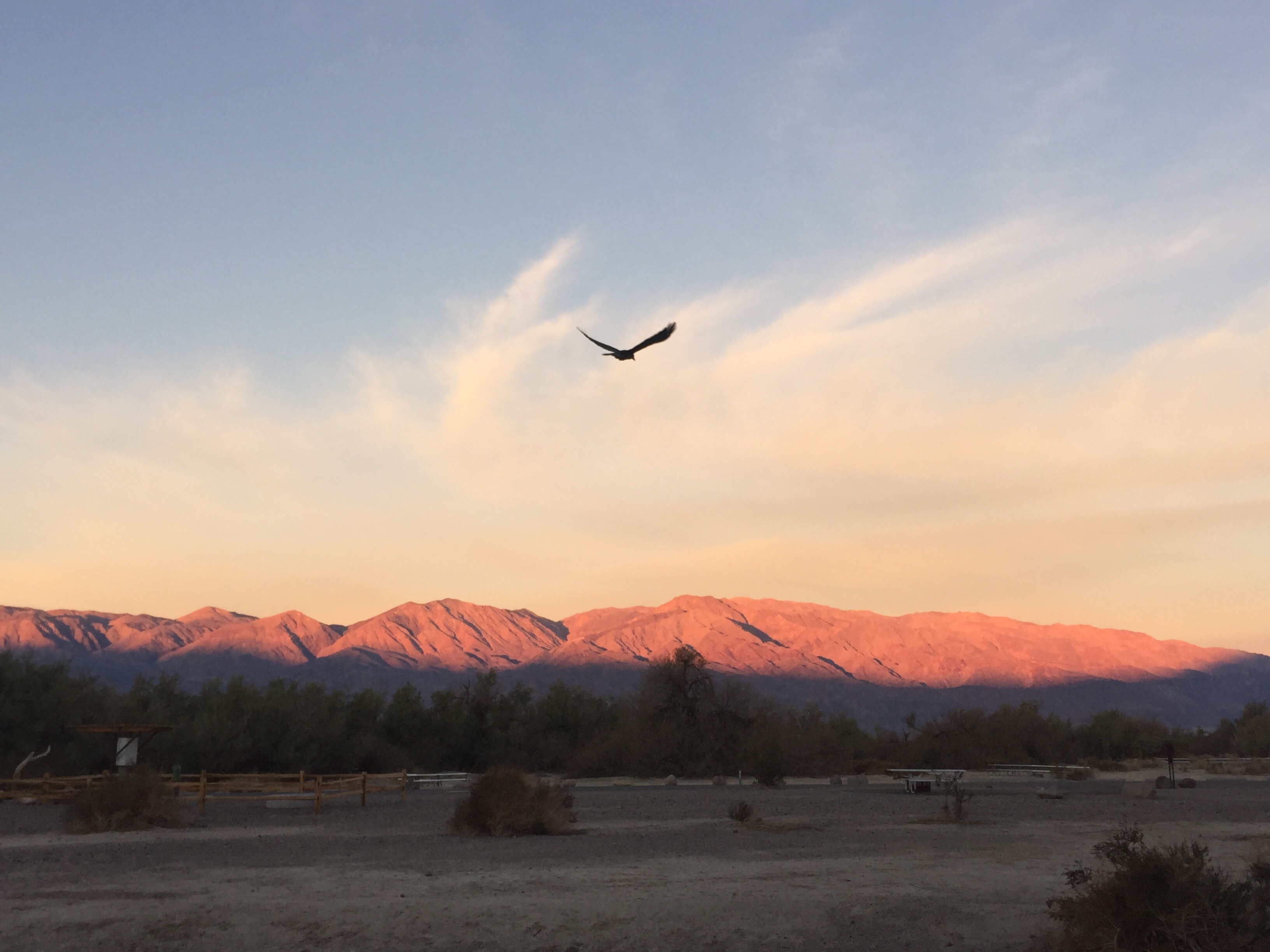 Sunrise from Furance Creek. 