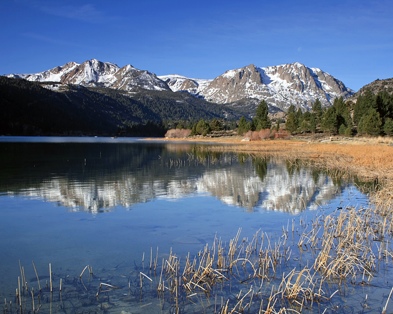 Head down to the beach on June Lake in the morning for a spectacular reflection!