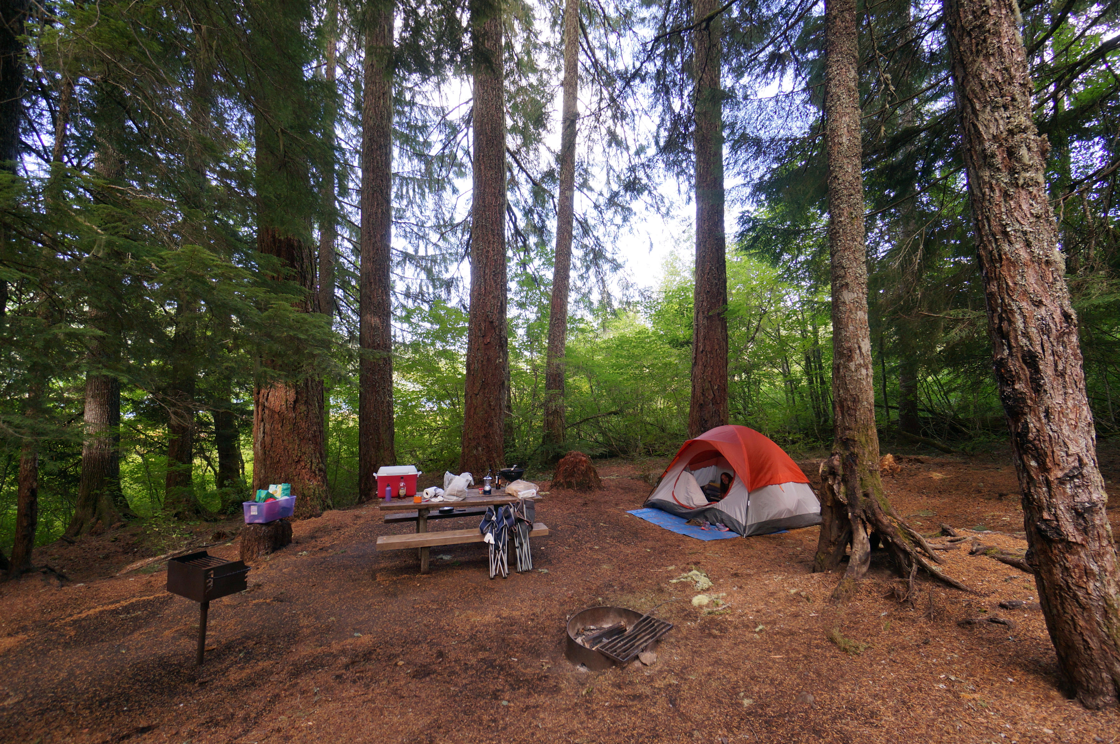 Cold Water Cove Campground