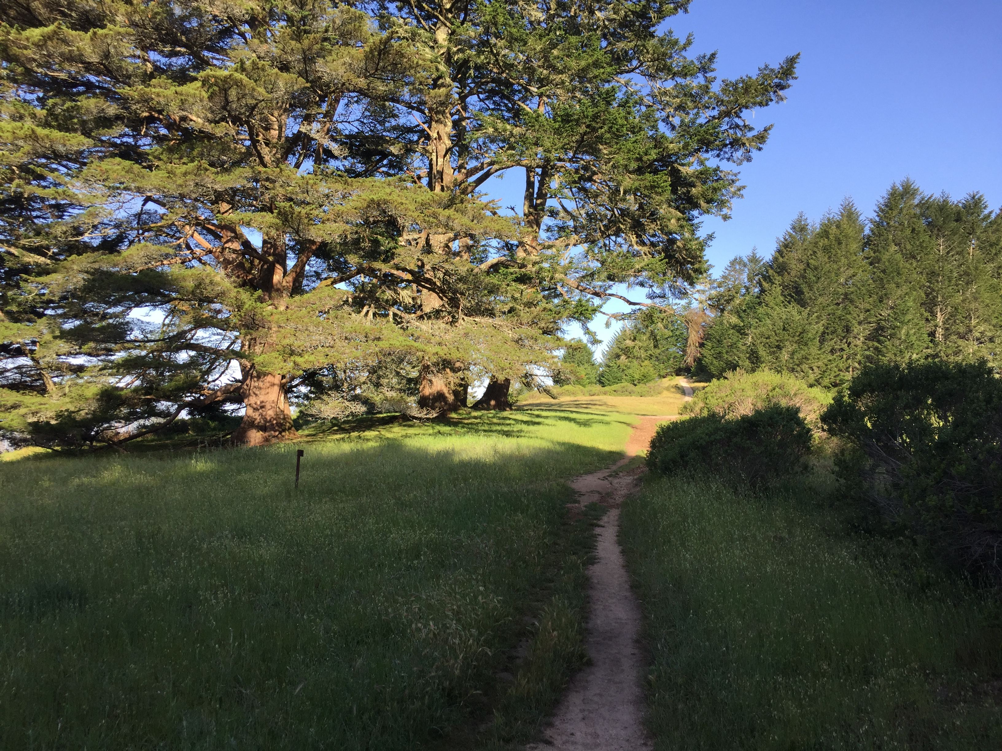 The entrance of the campground with the trails leading to each campsite.