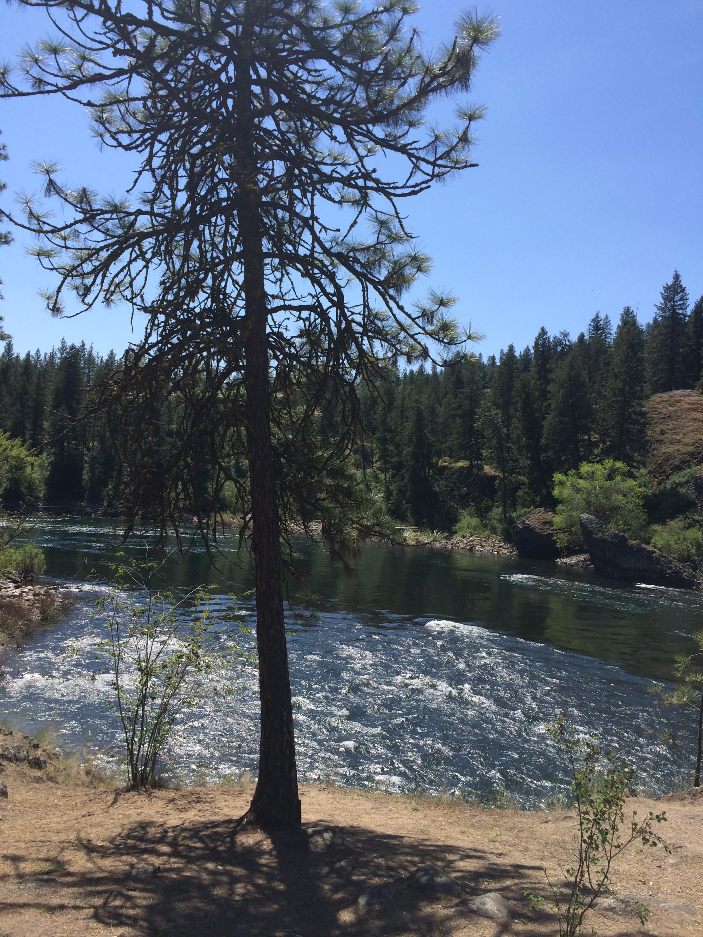 View of the river close to the campground