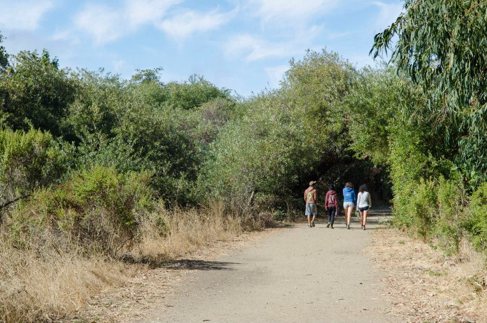 Trail from camp sites to  beach!
