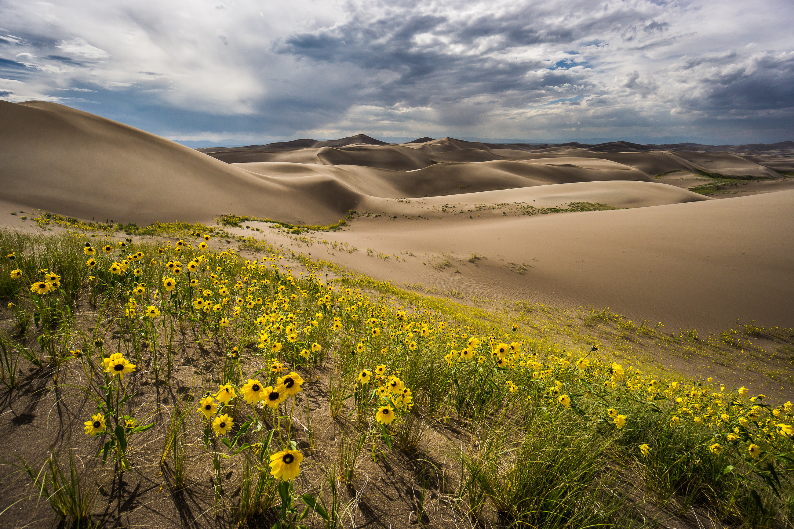 Great Sand Dunes National Park.
