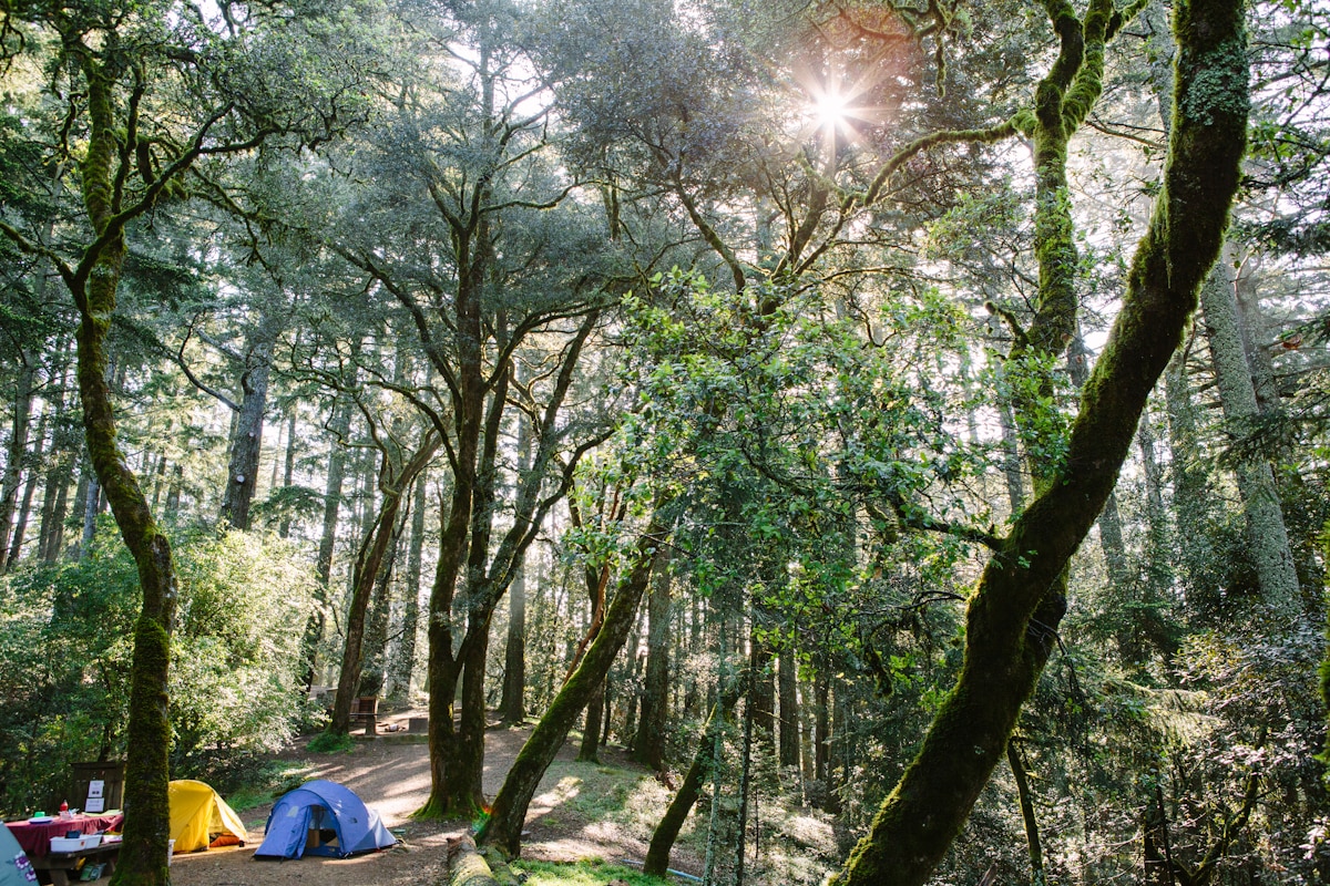 Campsites #6 and #7 are spacious and adjacent to each other. If you can snag them both, you can fit a good-sized crew of friends here!