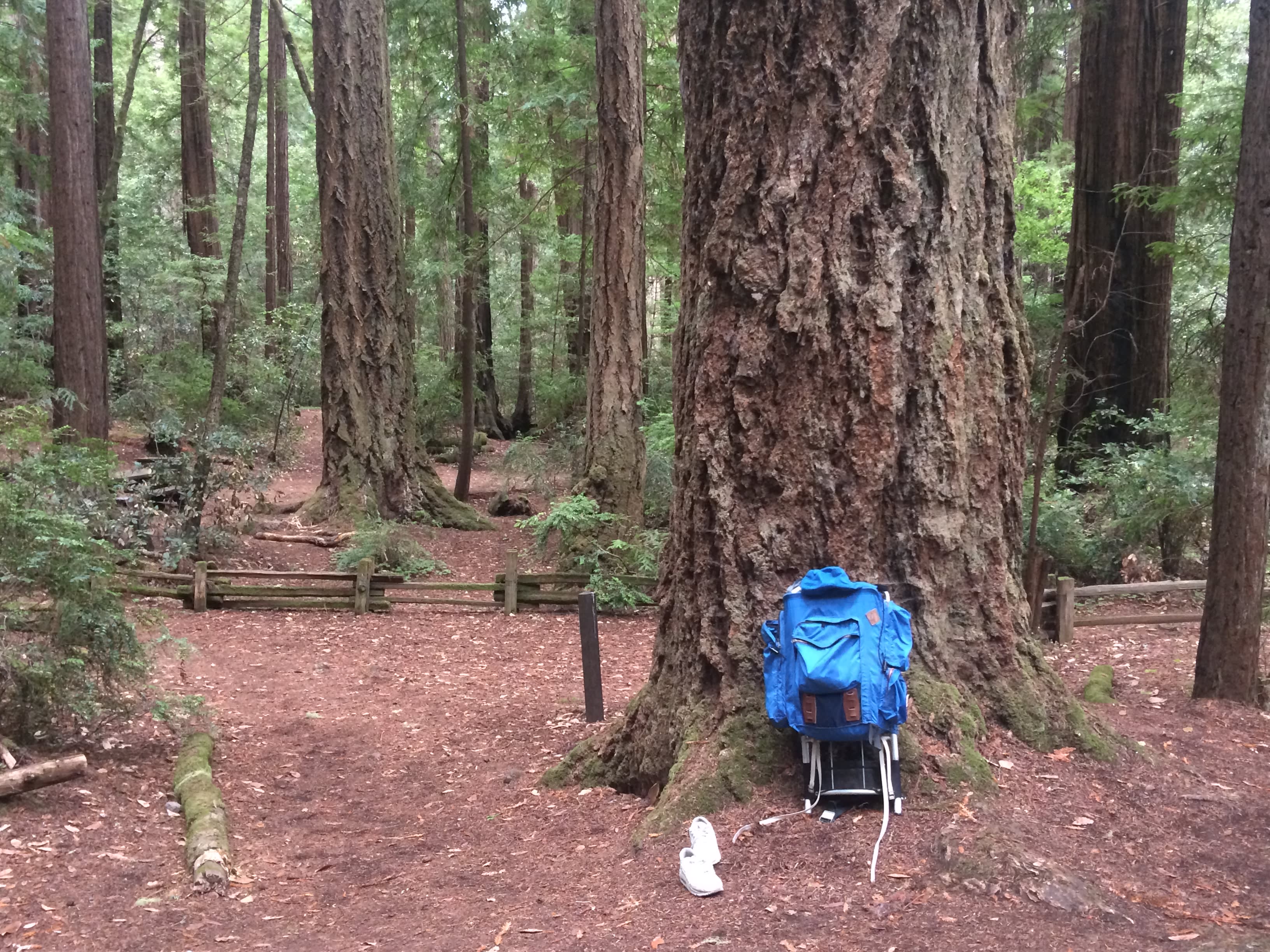 Hike-in campsite #39.