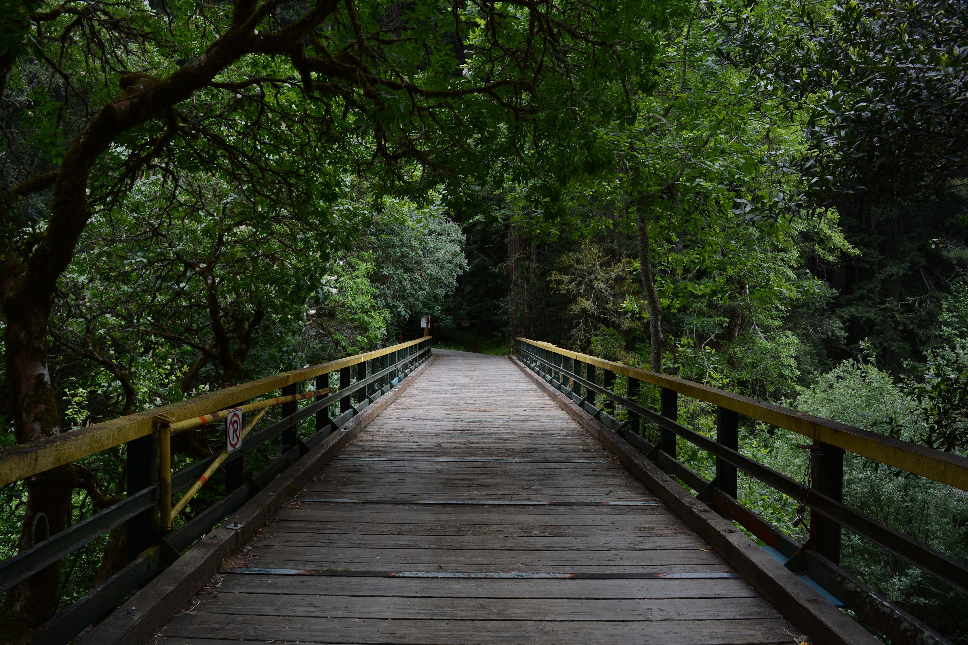 Samuel P. Taylor State Park