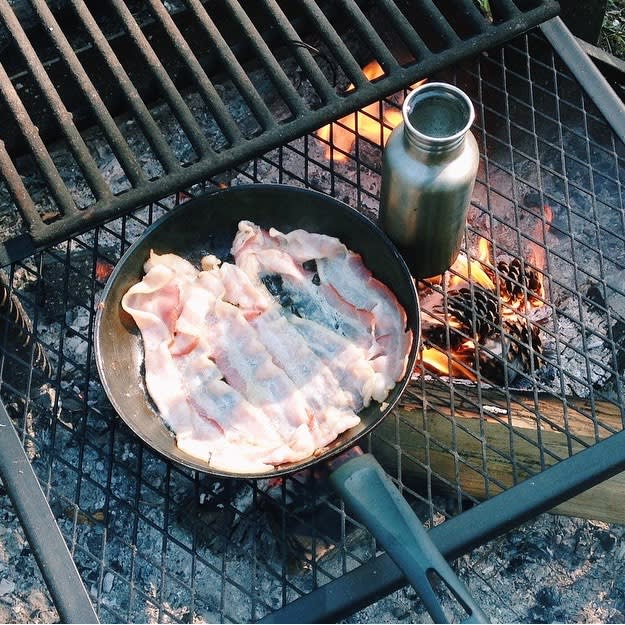 Bass River State Forest