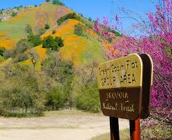 Green Cabin Flat Campground