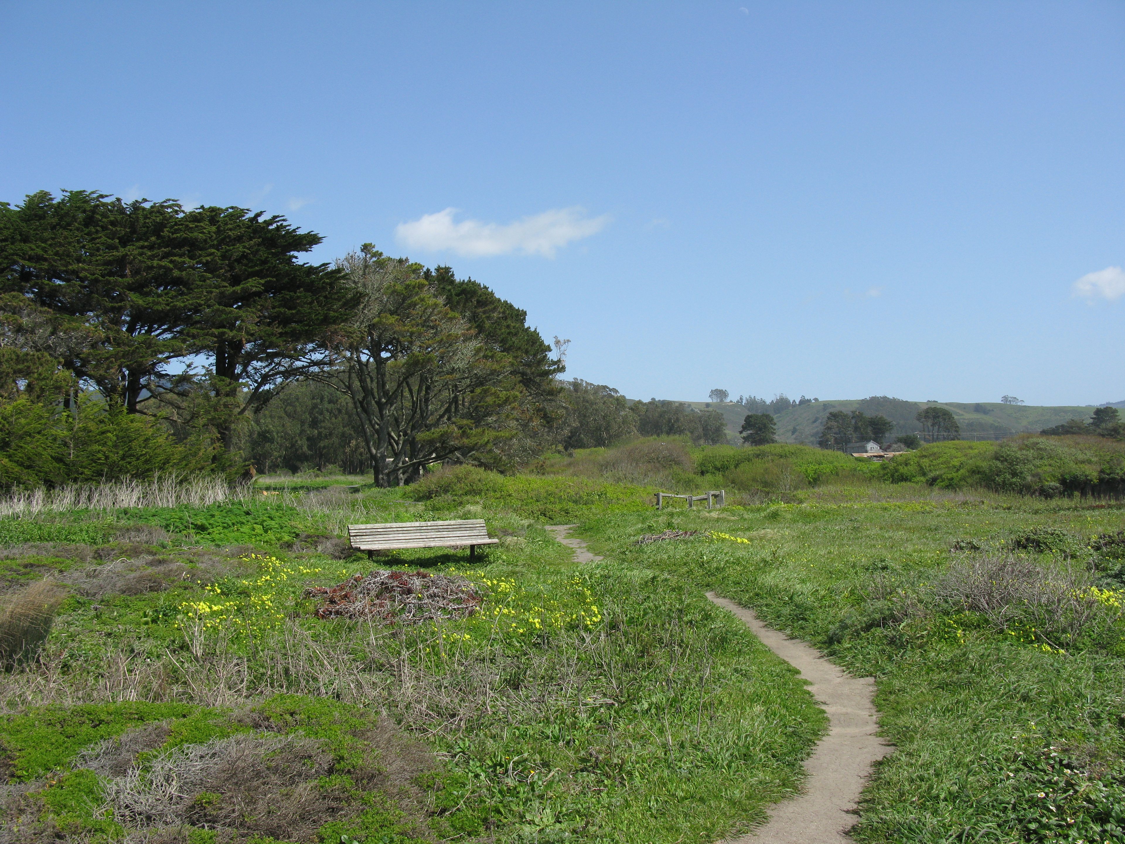 Francis Beach Campground