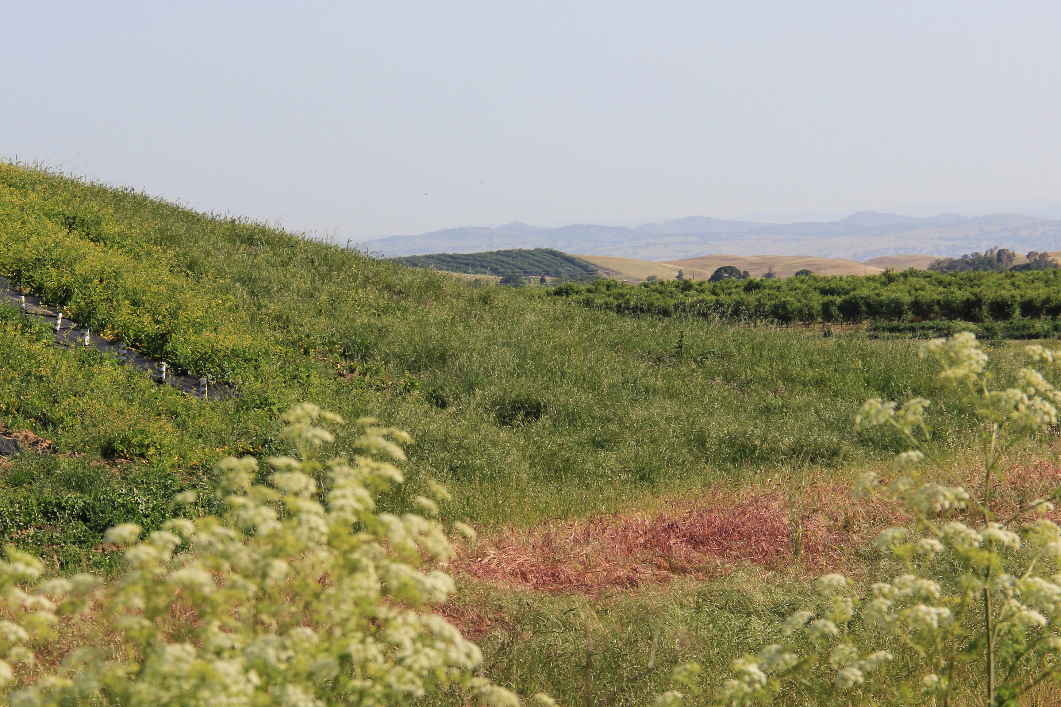 Turlock Lake State Recreation Area