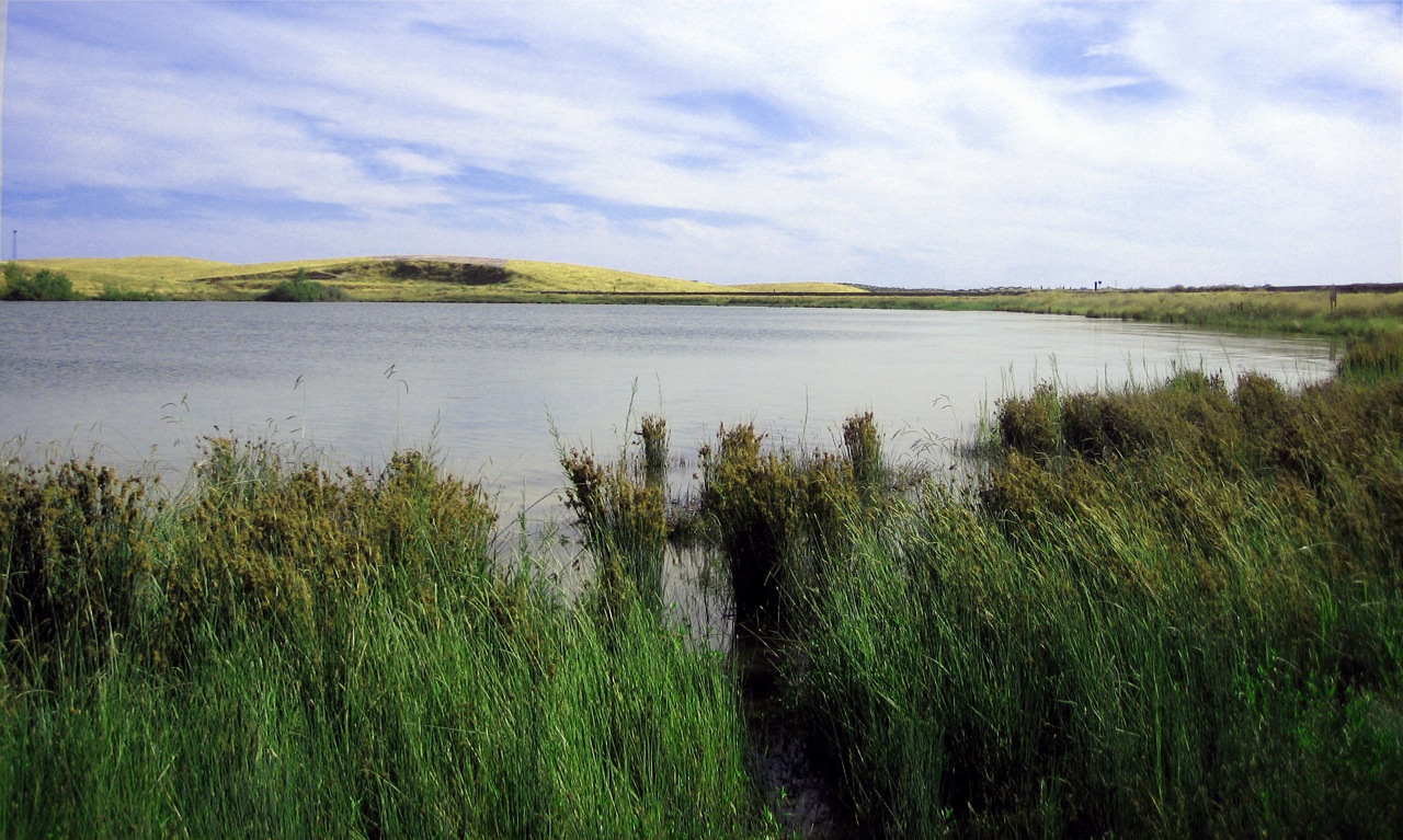 Turlock Lake State Recreation Area