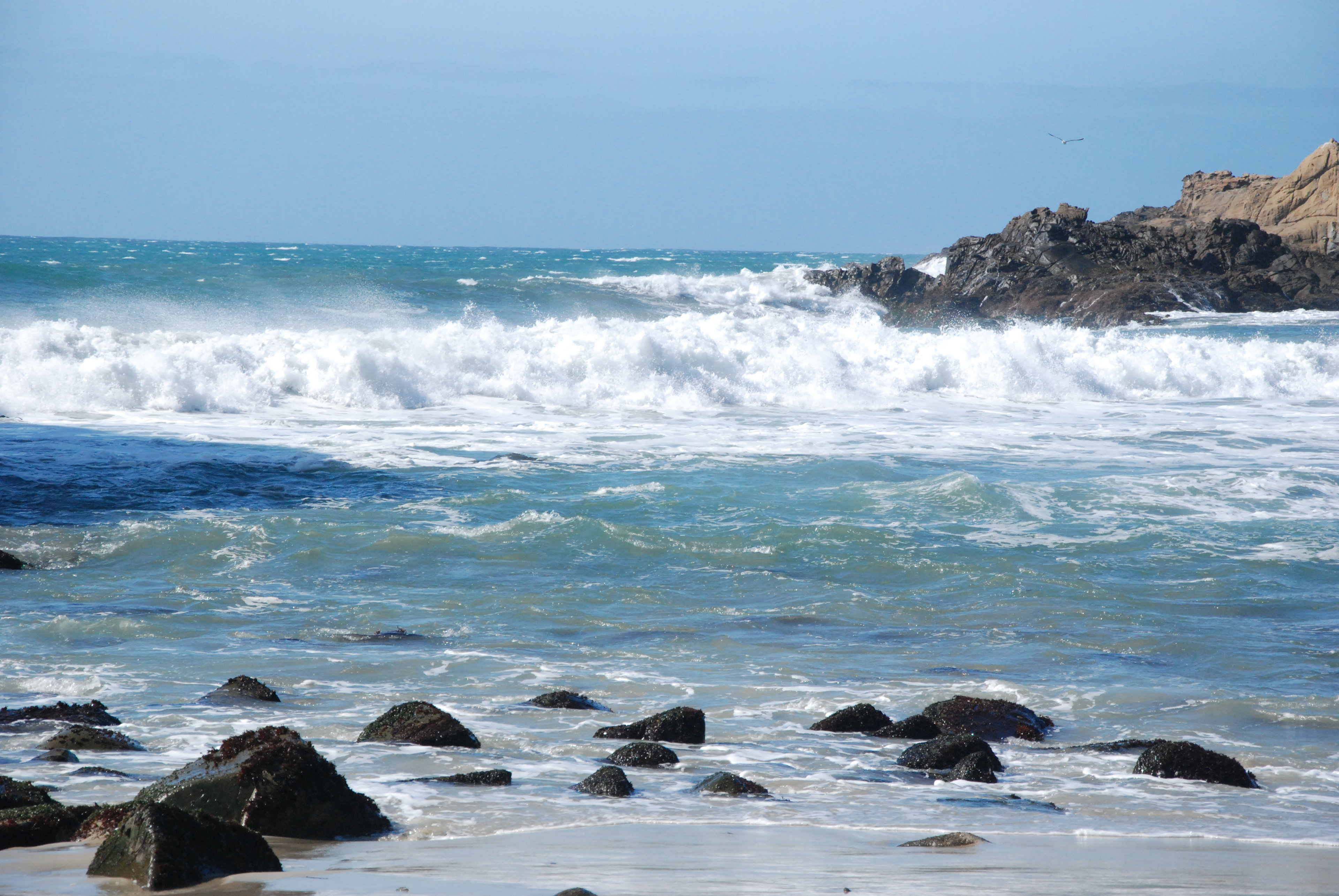 Andrew Molera State Park