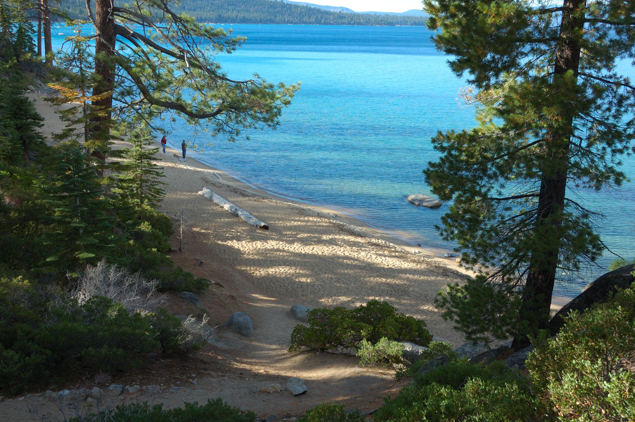 Pine Campground