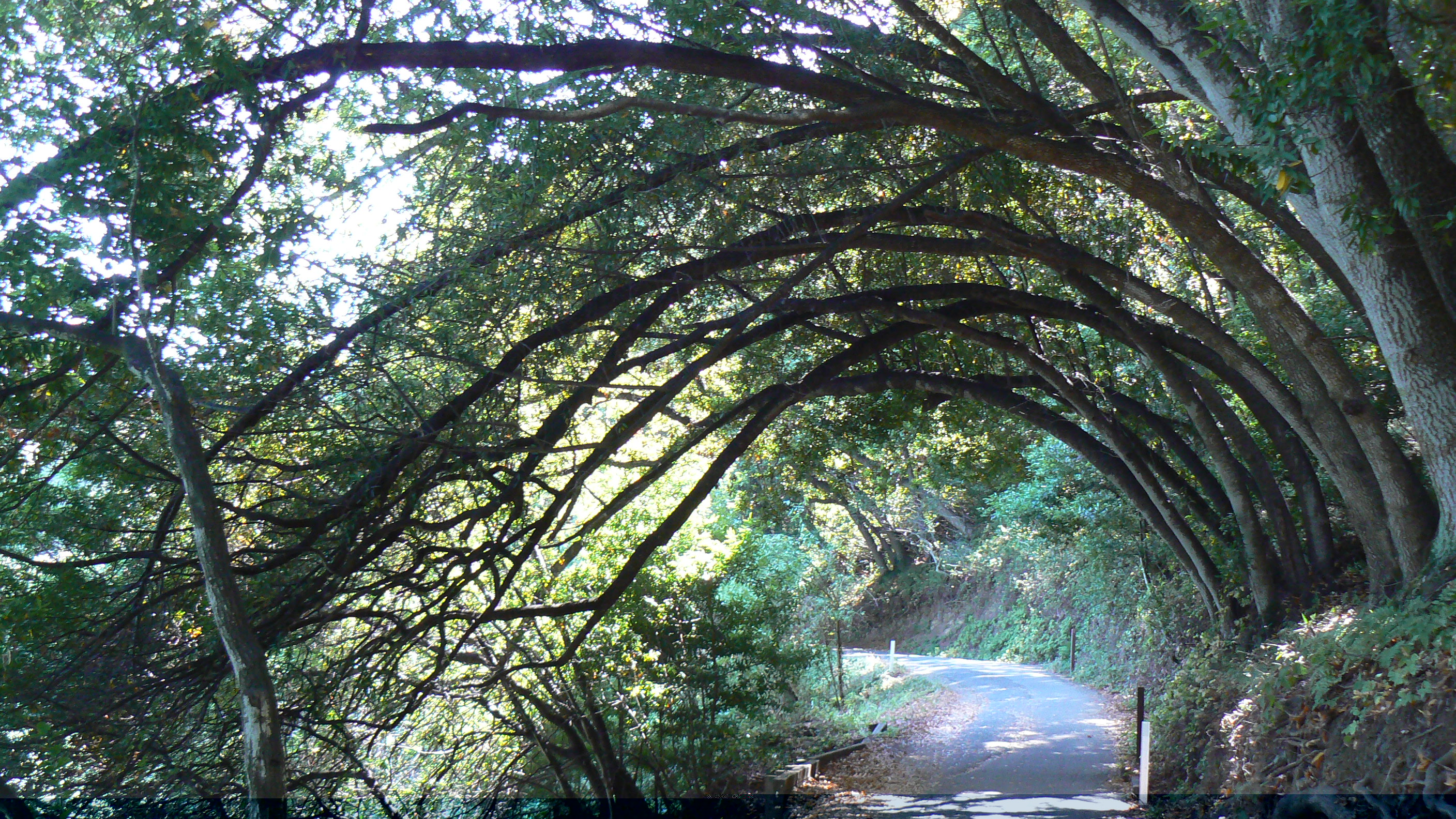 Anthony Chabot Family Campground