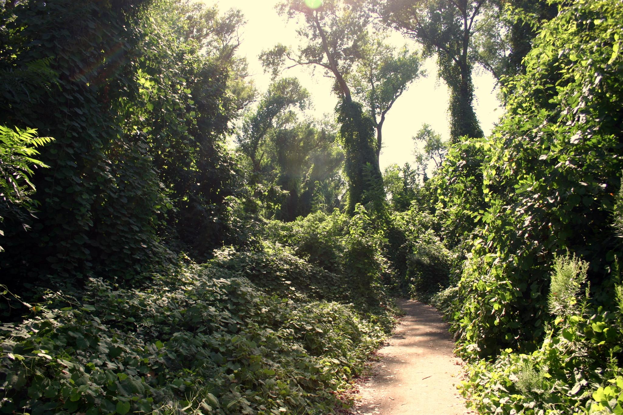 Colusa-Sacramento River State Recreation Area