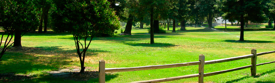 Colusa-Sacramento River State Recreation Area