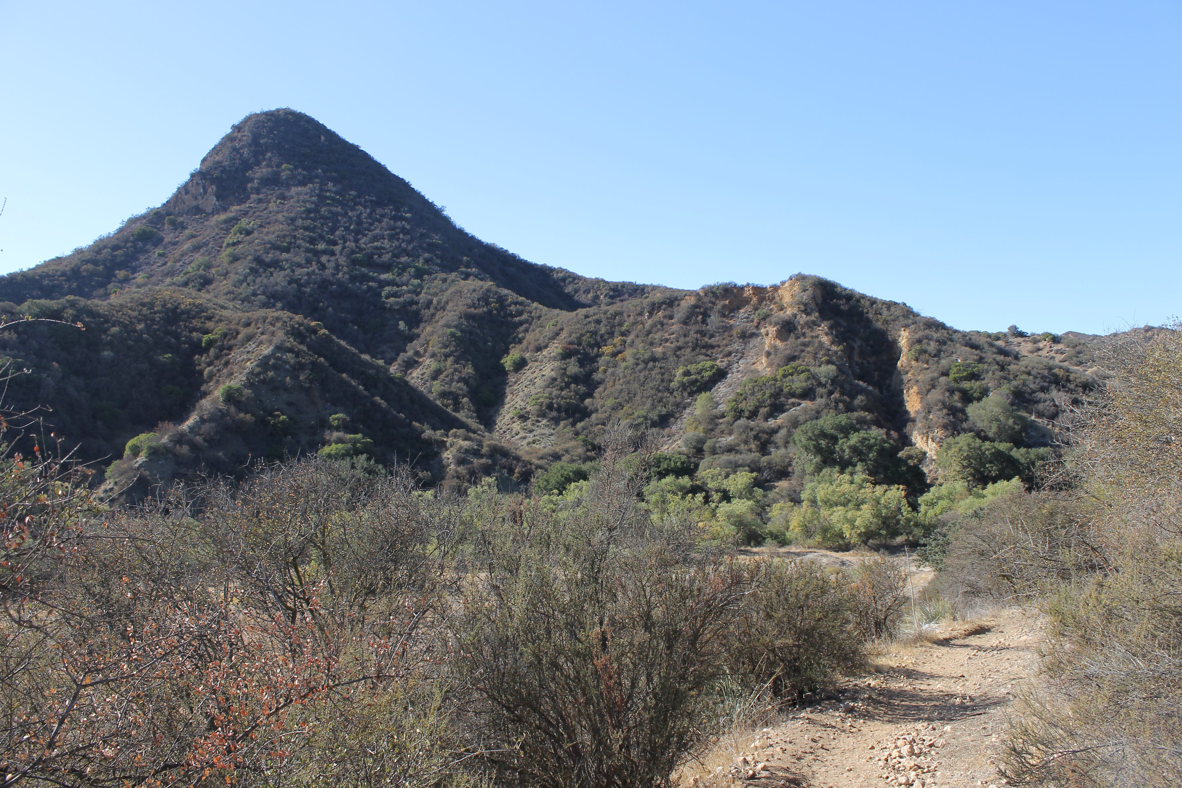 Circle X Ranch Group Campground