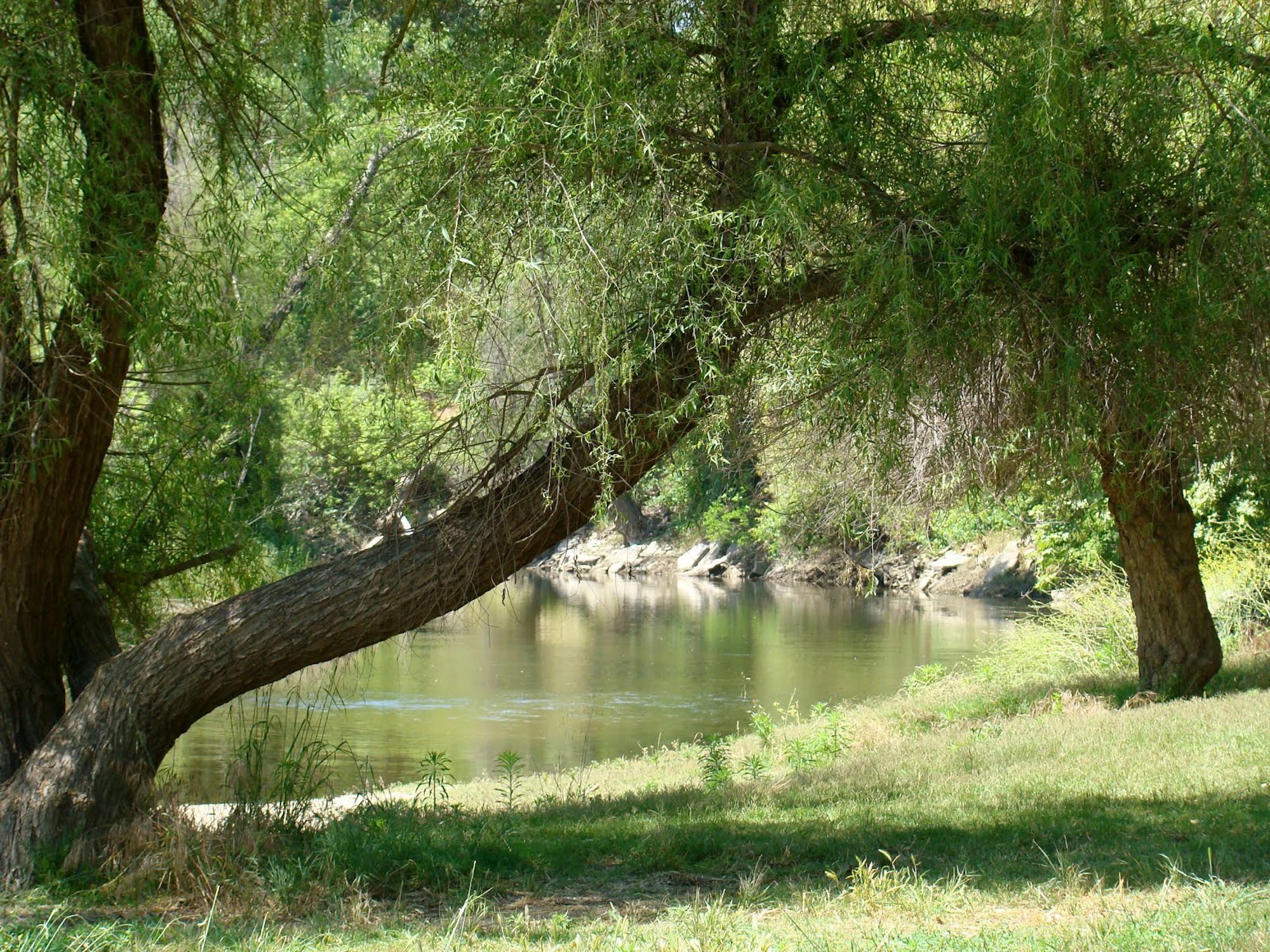 McConnell Campground