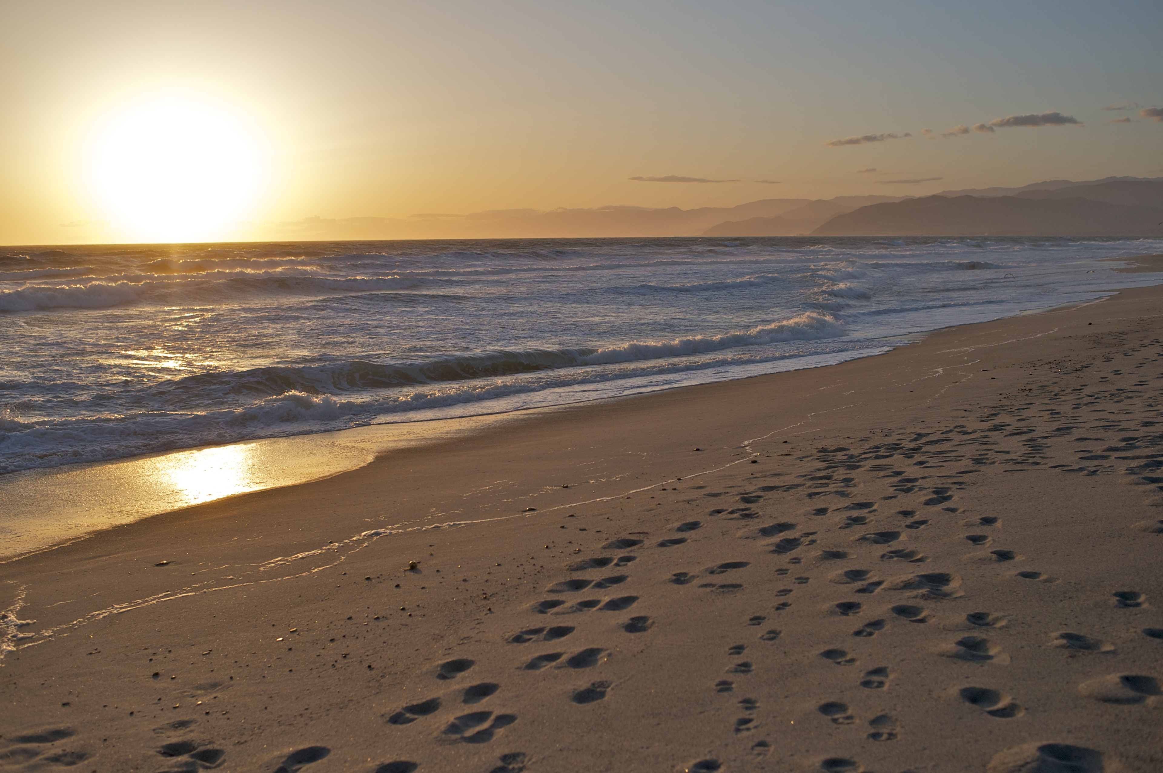McGrath State Beach Campground