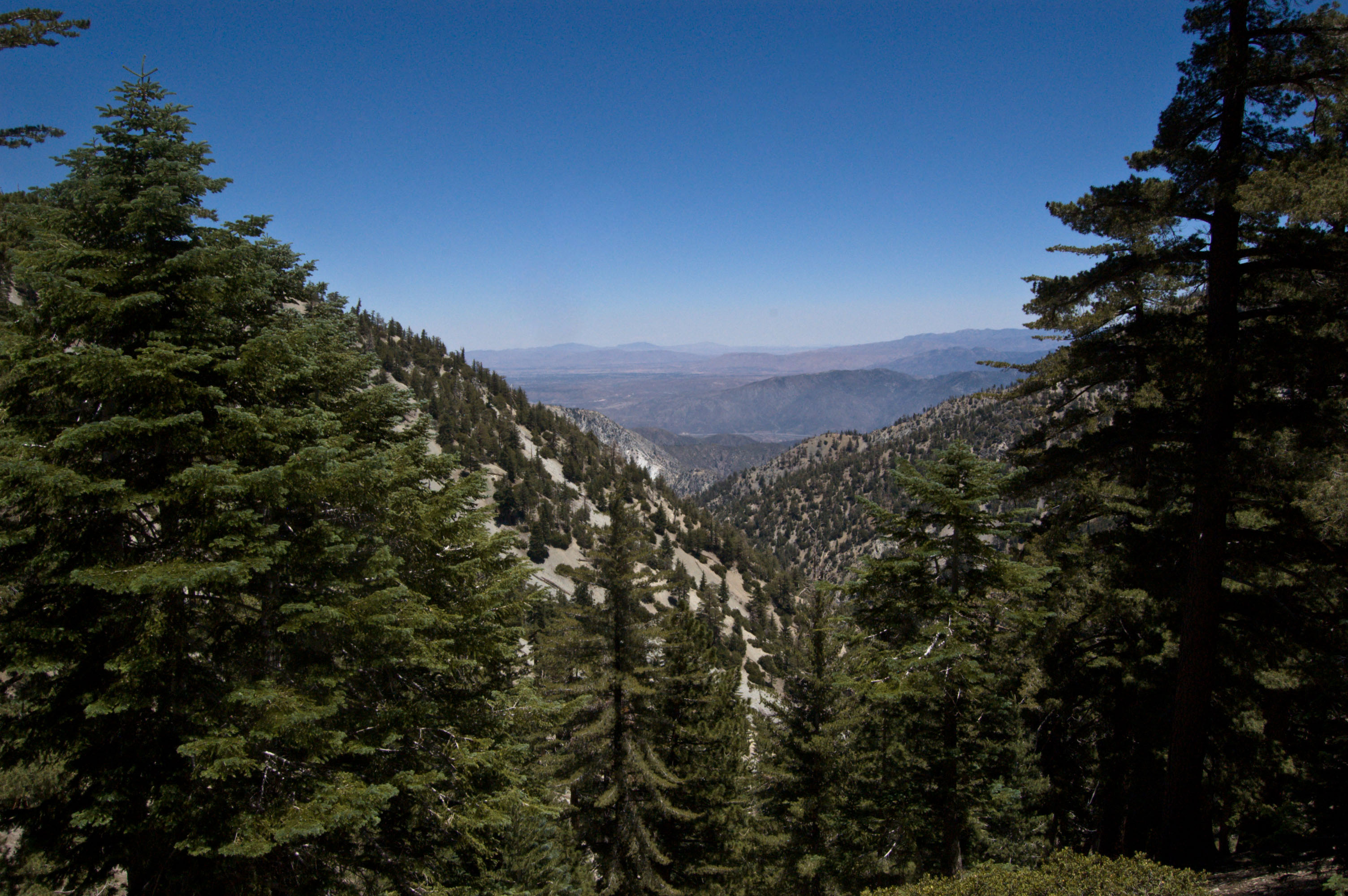 Santa Rosa Springs Campground