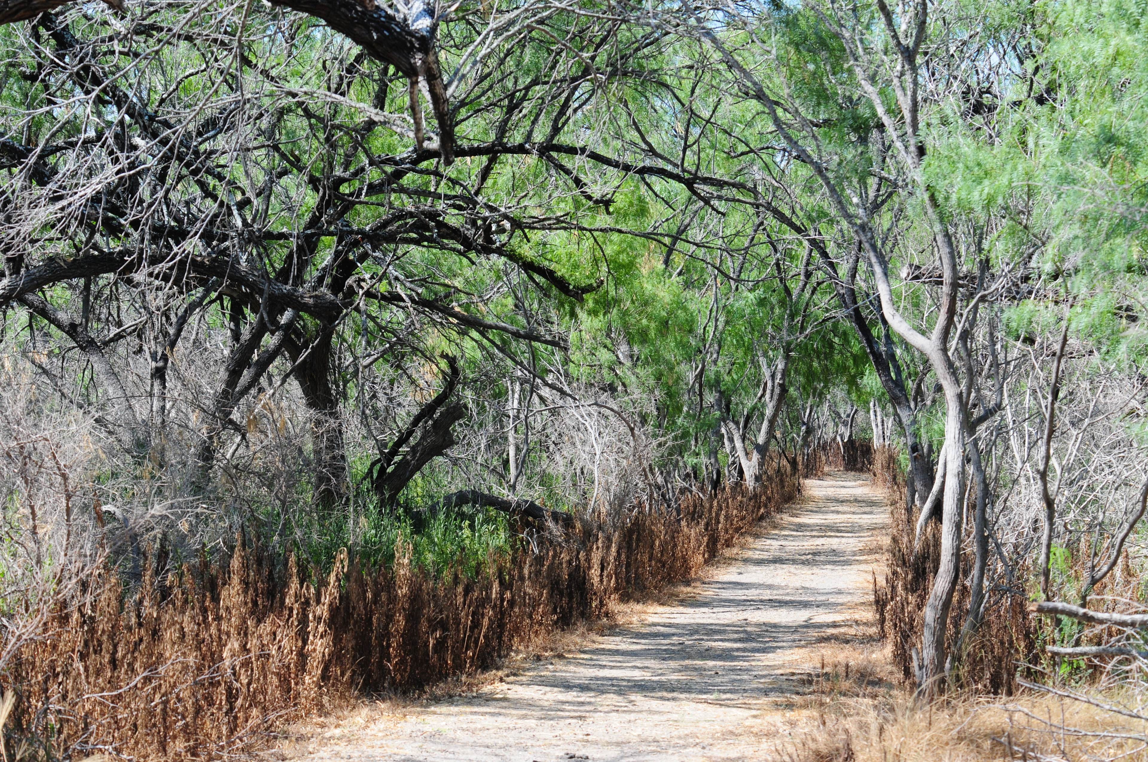 Bentsen-Rio Grande Valley State Park