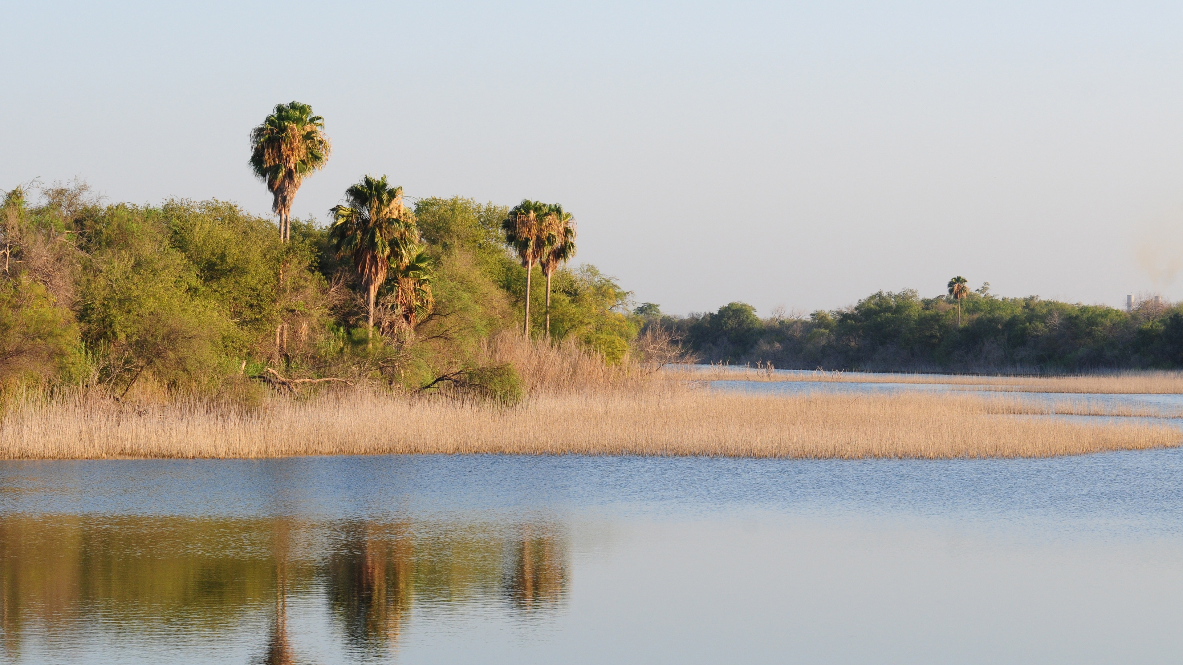 Bentsen-Rio Grande Primitive Campground
