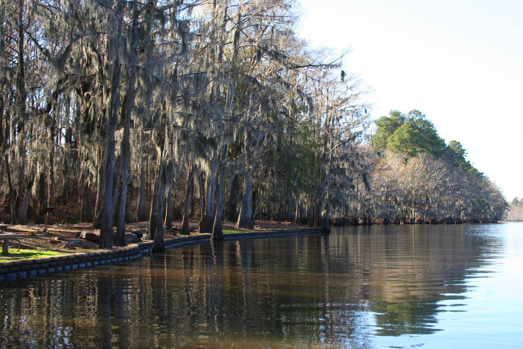 Caddo Lake State Park