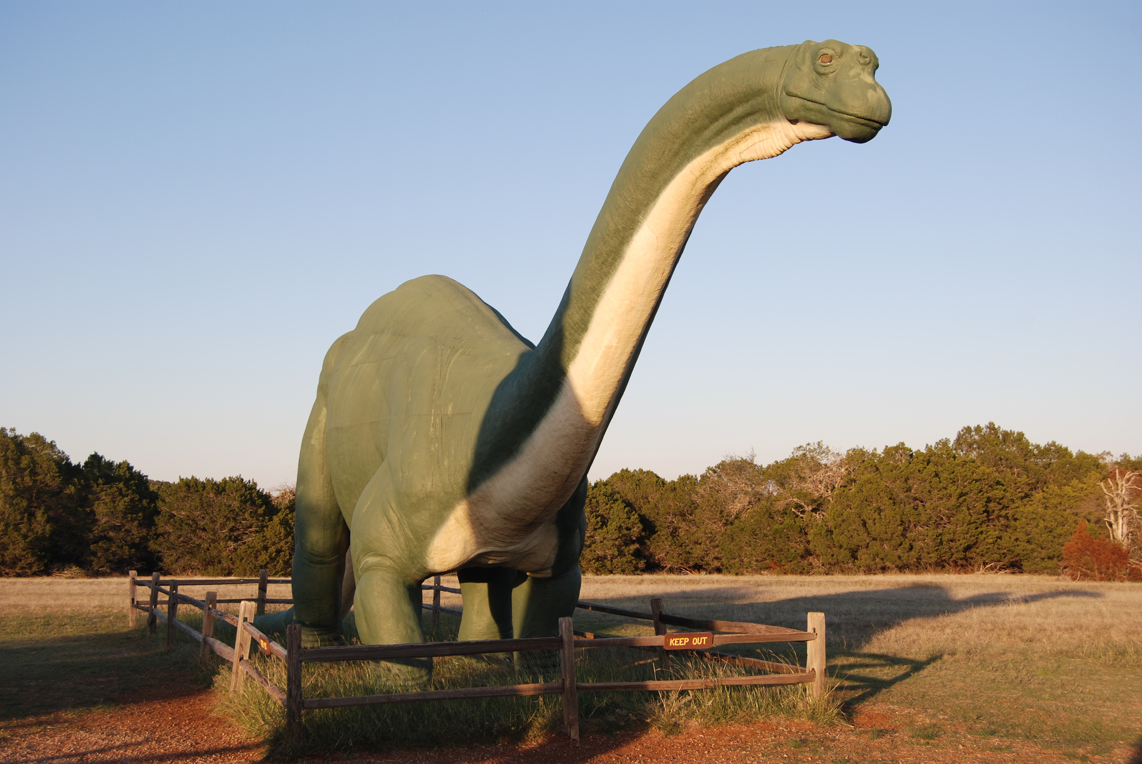 Dinosaur Valley State Park