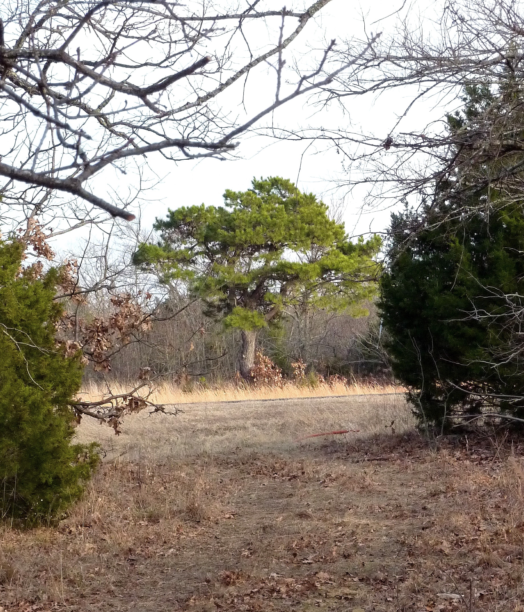 Lake Arrowhead State Park