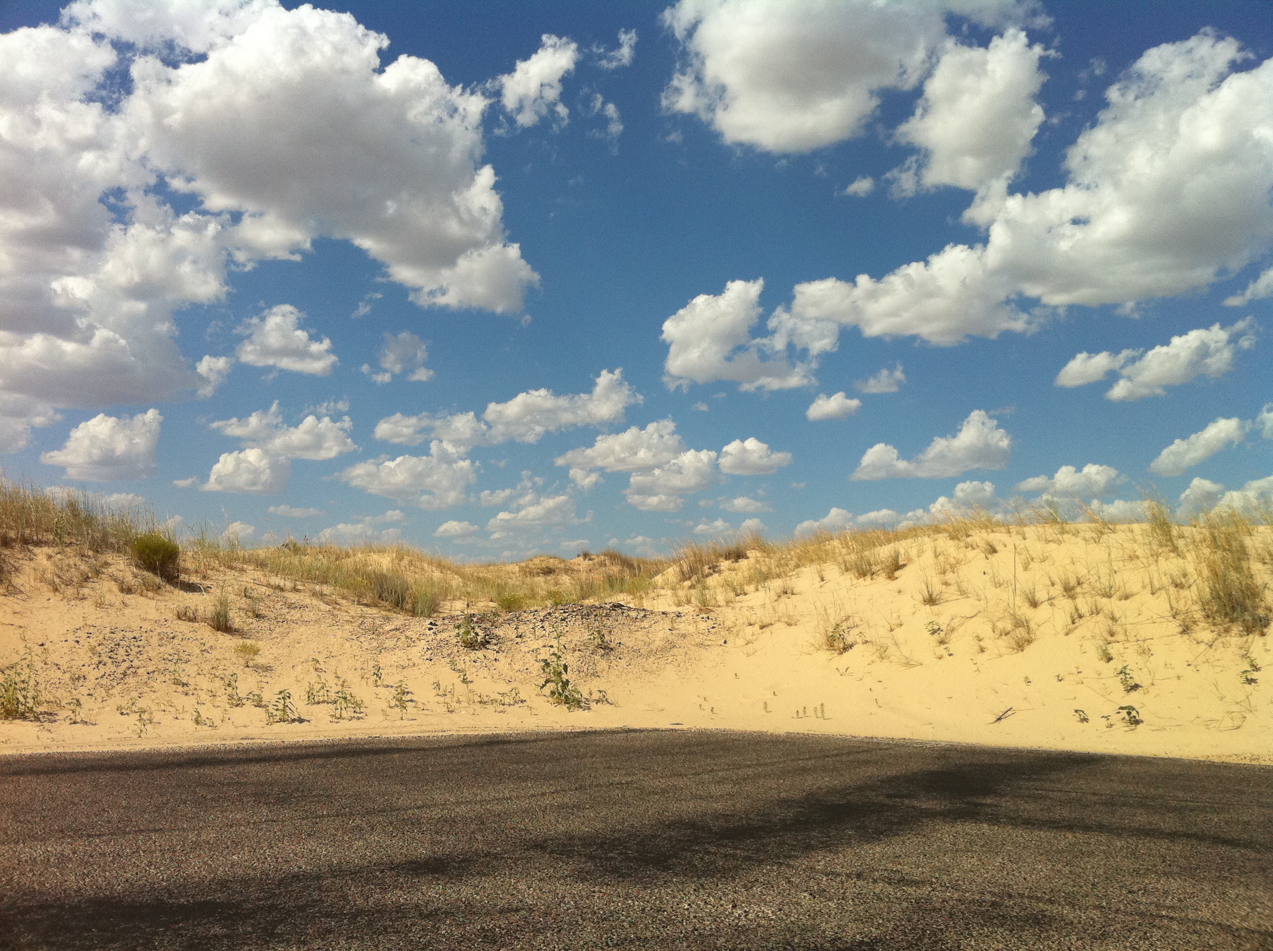 Willow Draw Campground