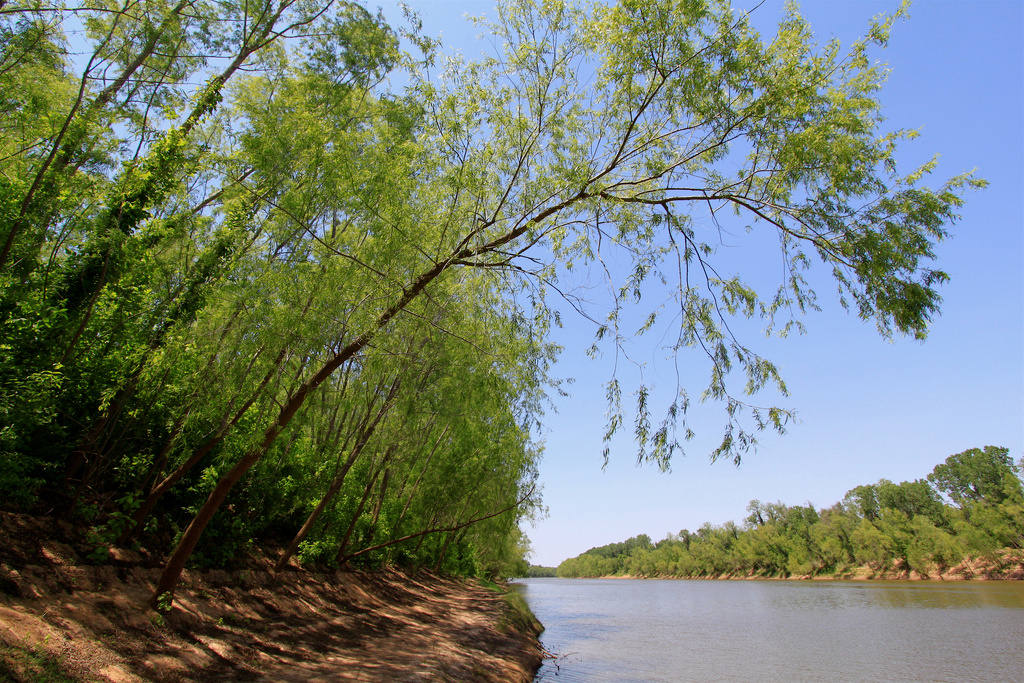 Stephen F. Austin Campground