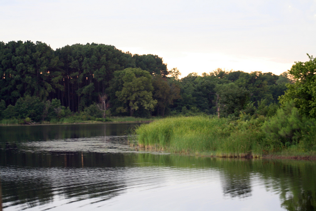 Caddo-LBJ National Grasslands