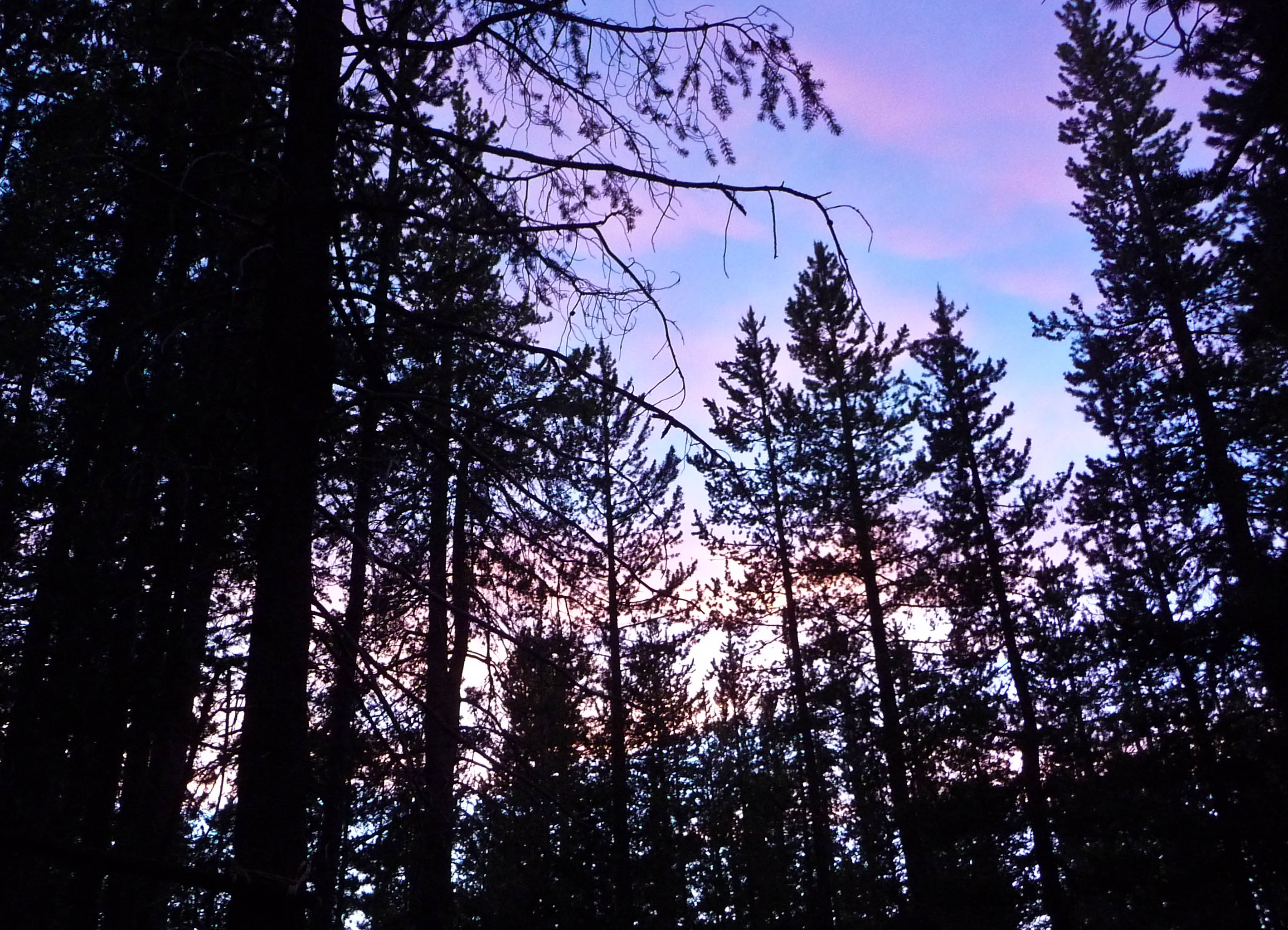 Howard's Gulch Campground