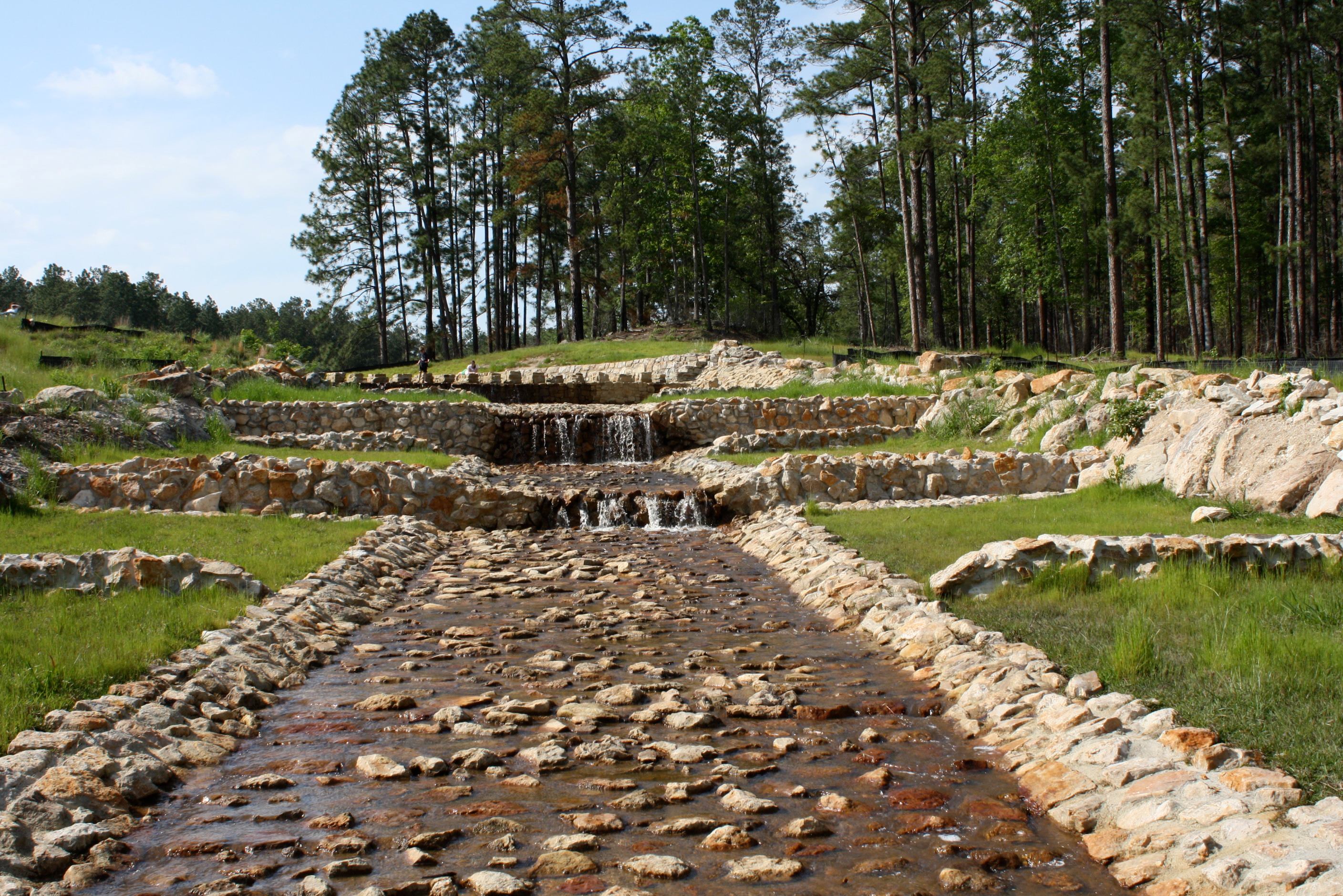 Angelina National Forest