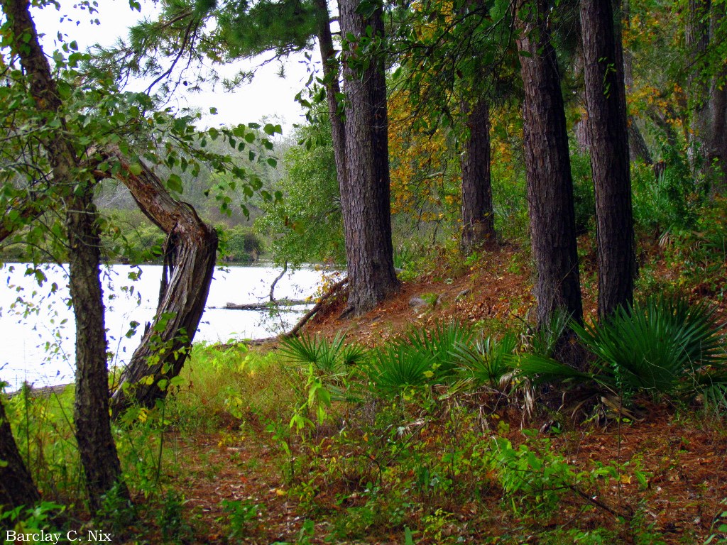 Stubblefield Lake Campground