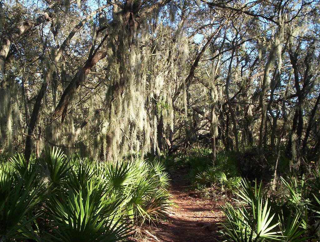 Alafia River State Park