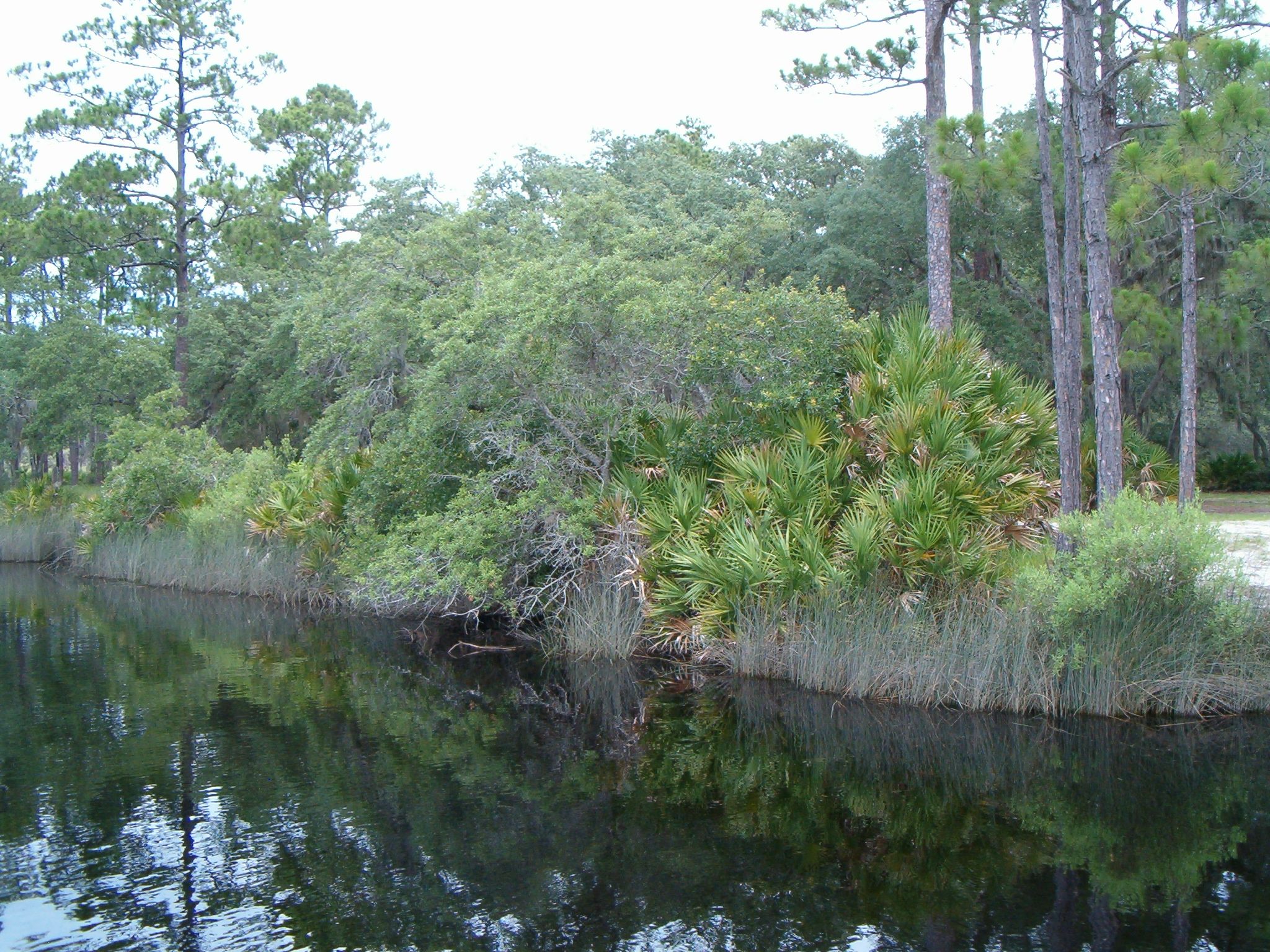 Faver-Dykes State Park Campground