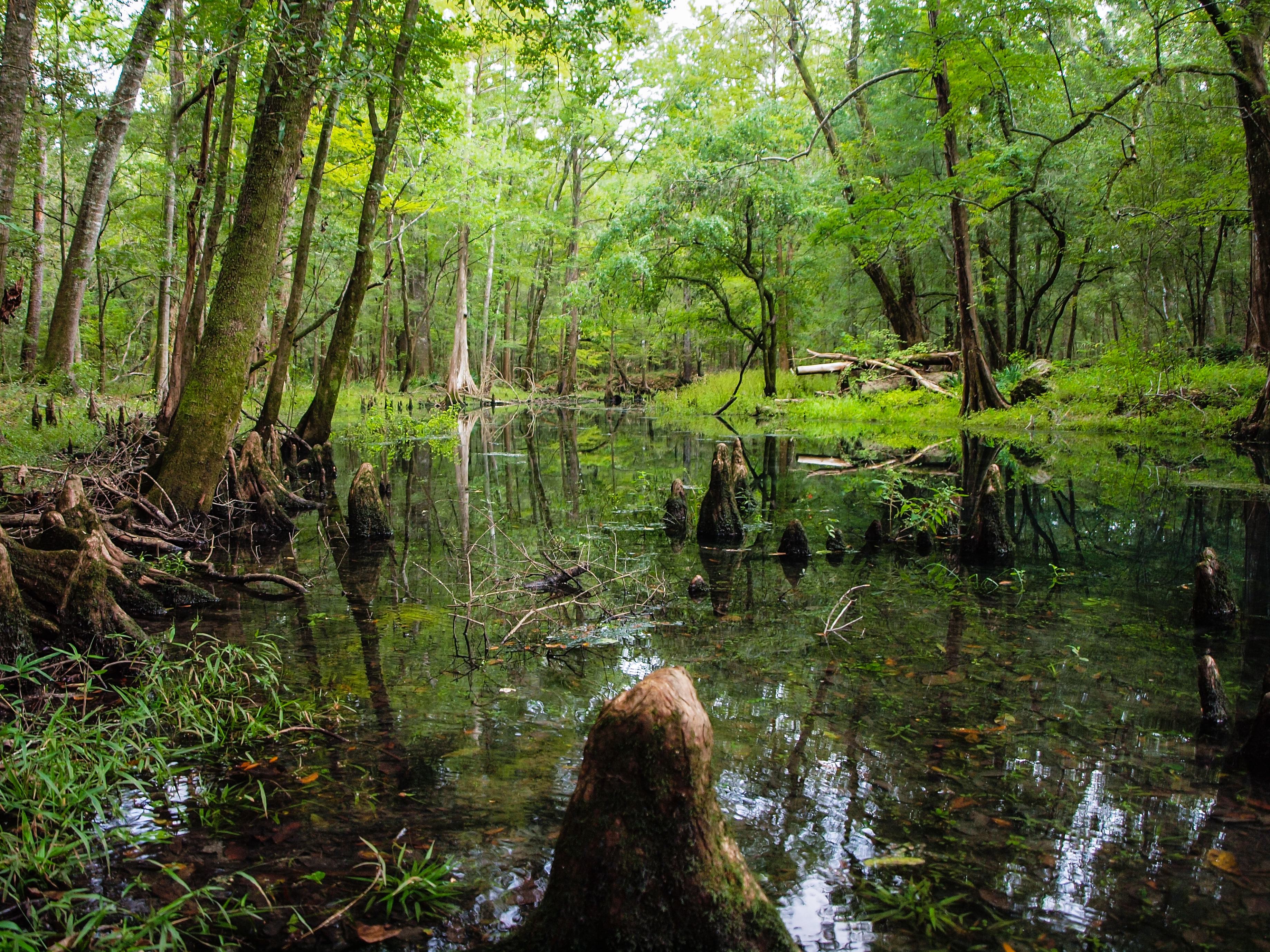 Florida Caverns State Park